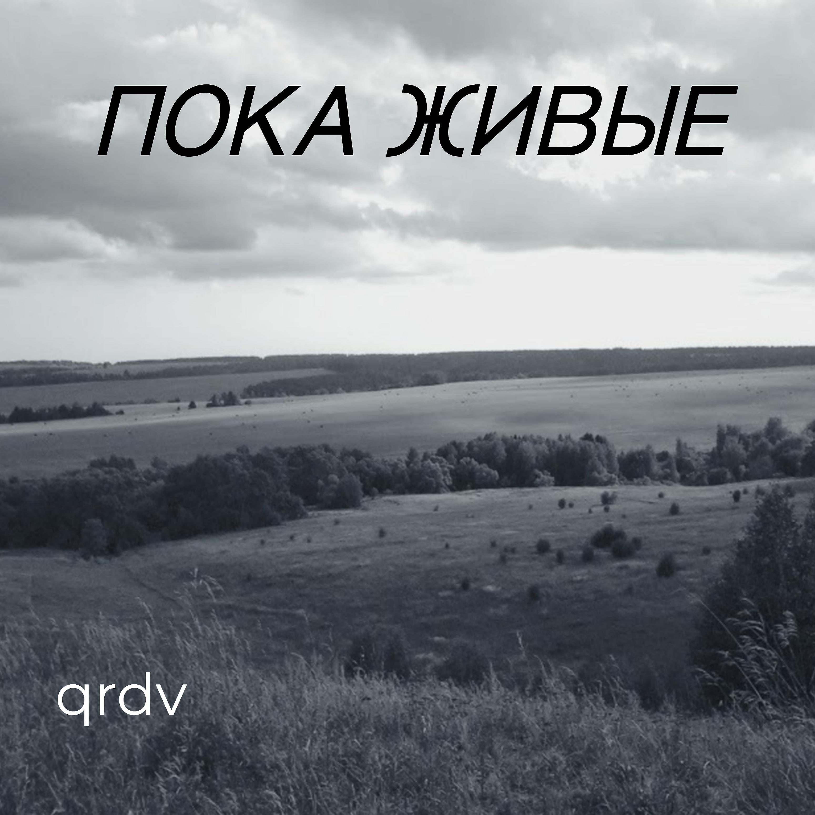 Постер альбома Пока живые (feat. Pirojoke)