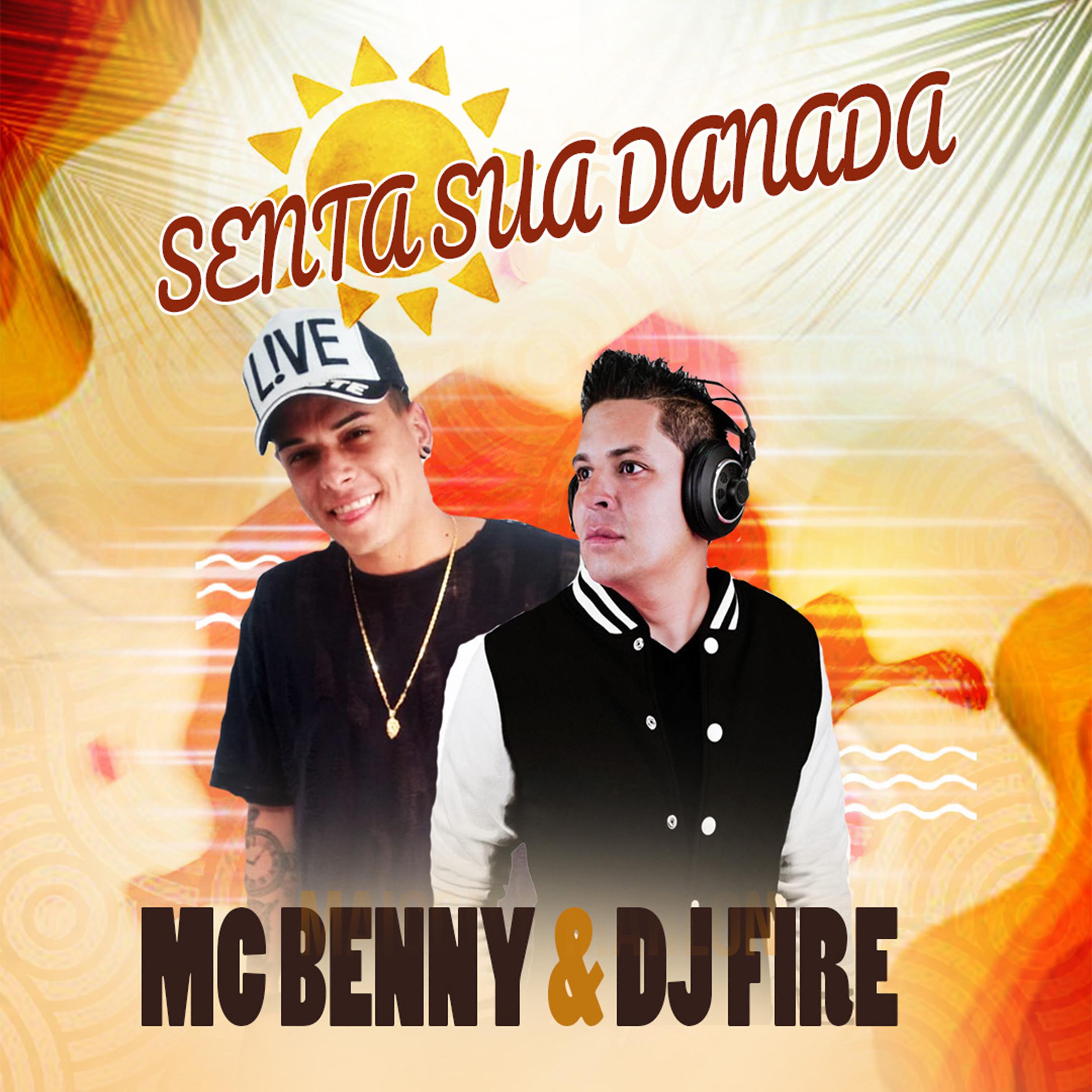 Постер альбома Senta Sua Danada