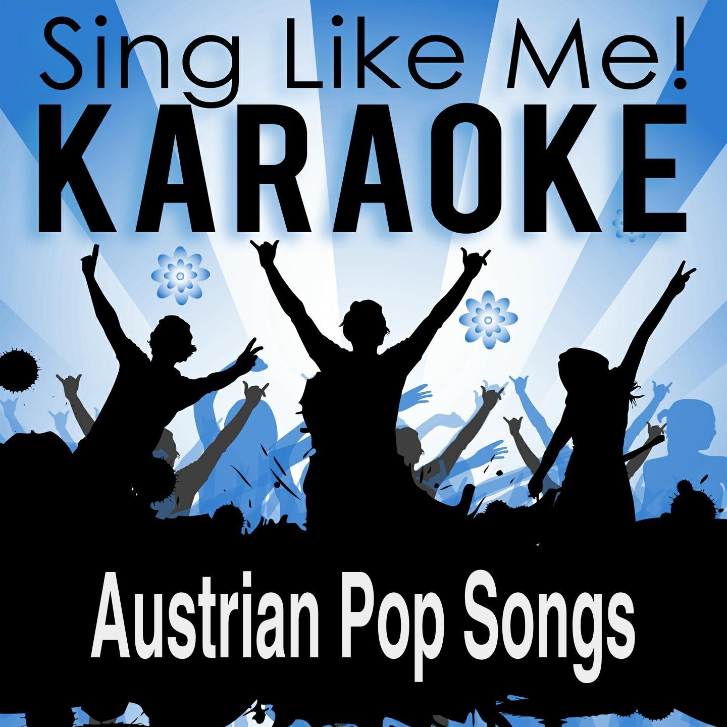 Постер альбома Austrian Pop Songs (Karaoke Version)