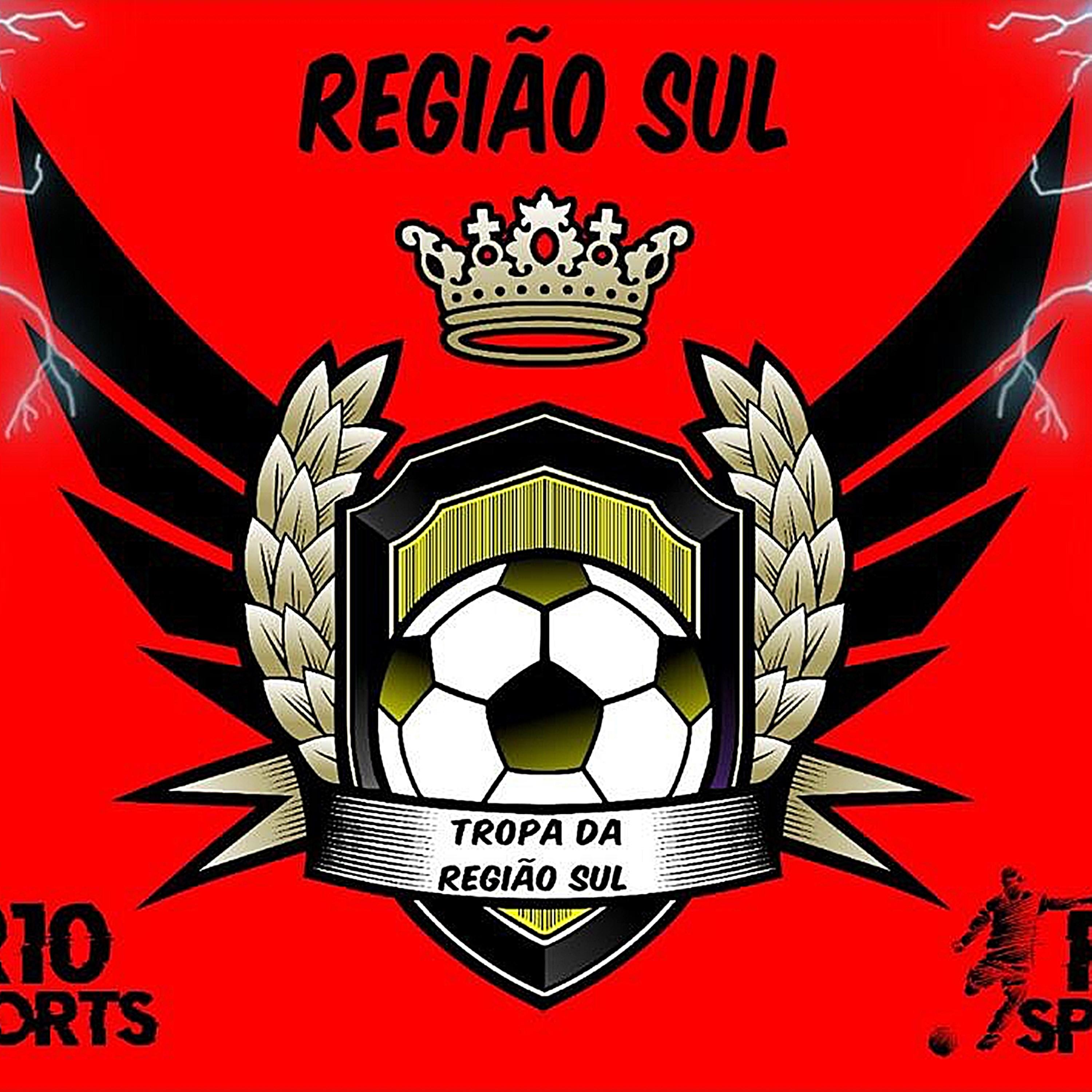 Постер альбома Tropa da Região Sul