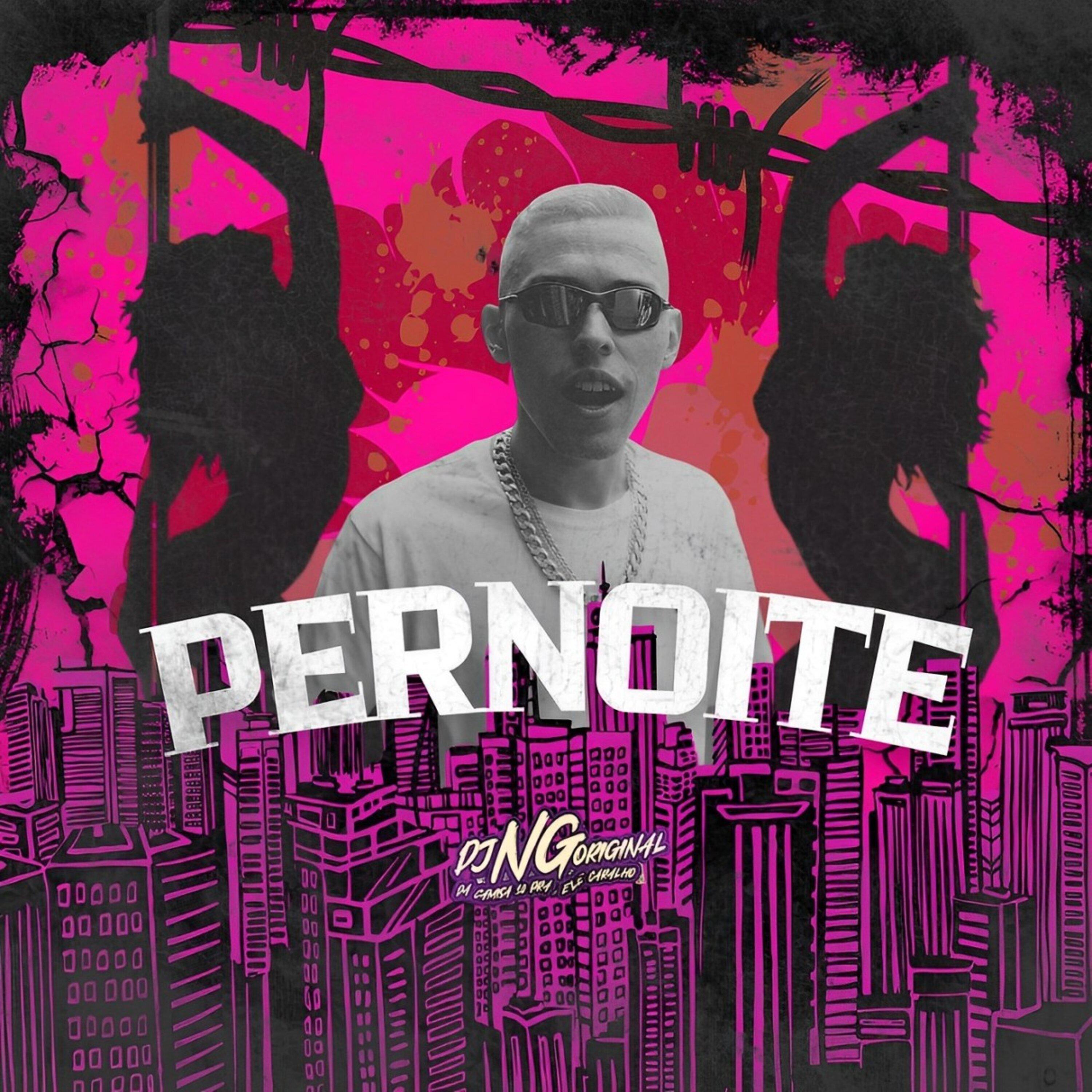 Постер альбома Pernoite