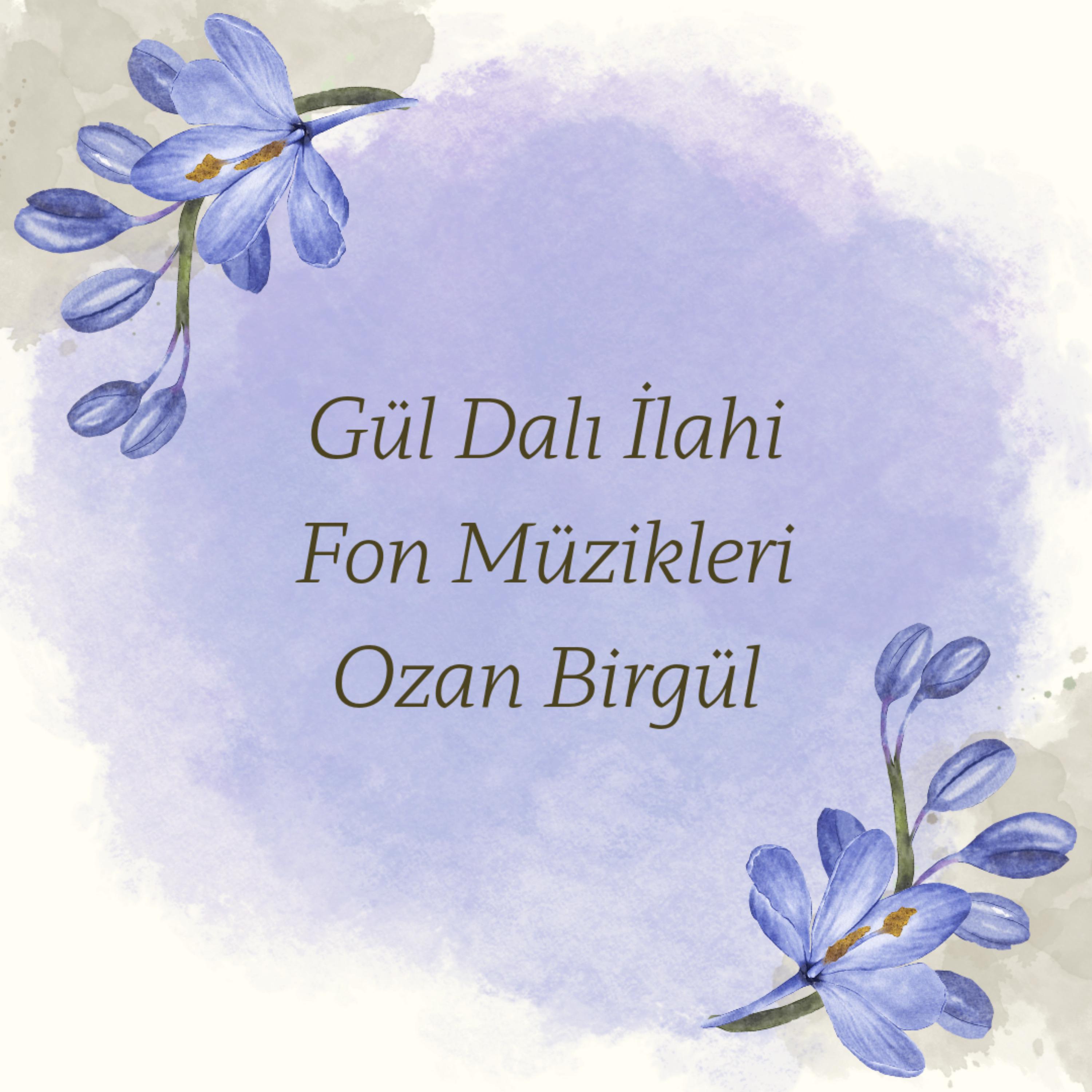 Постер альбома Gül Dalı İlahi Fon Müzikleri