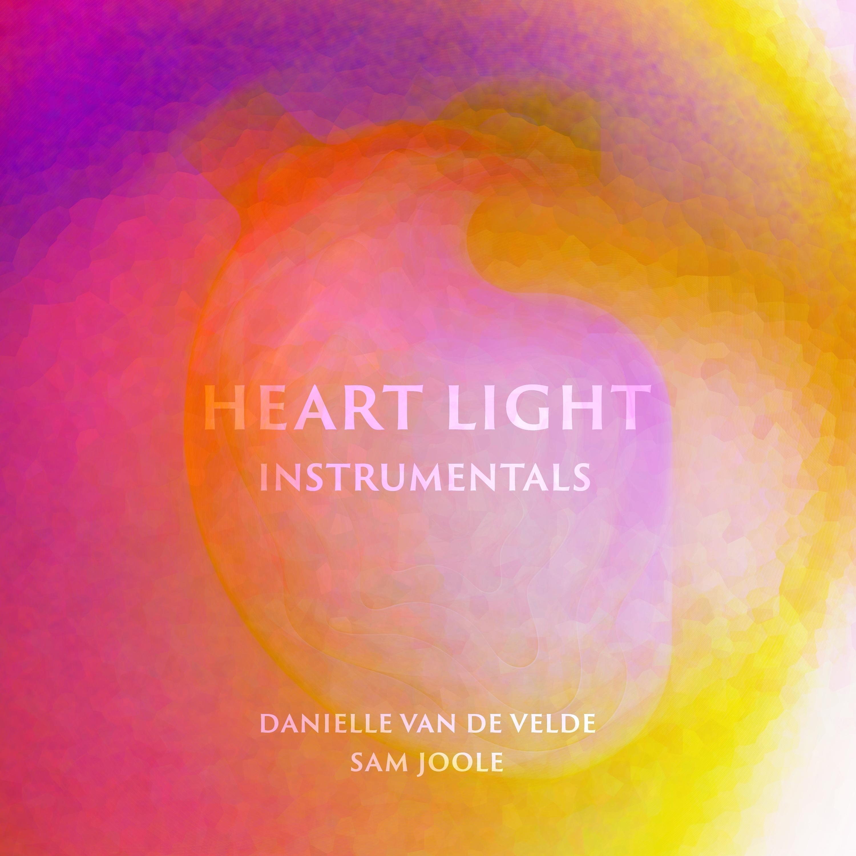 Постер альбома Heart Light Instrumentals