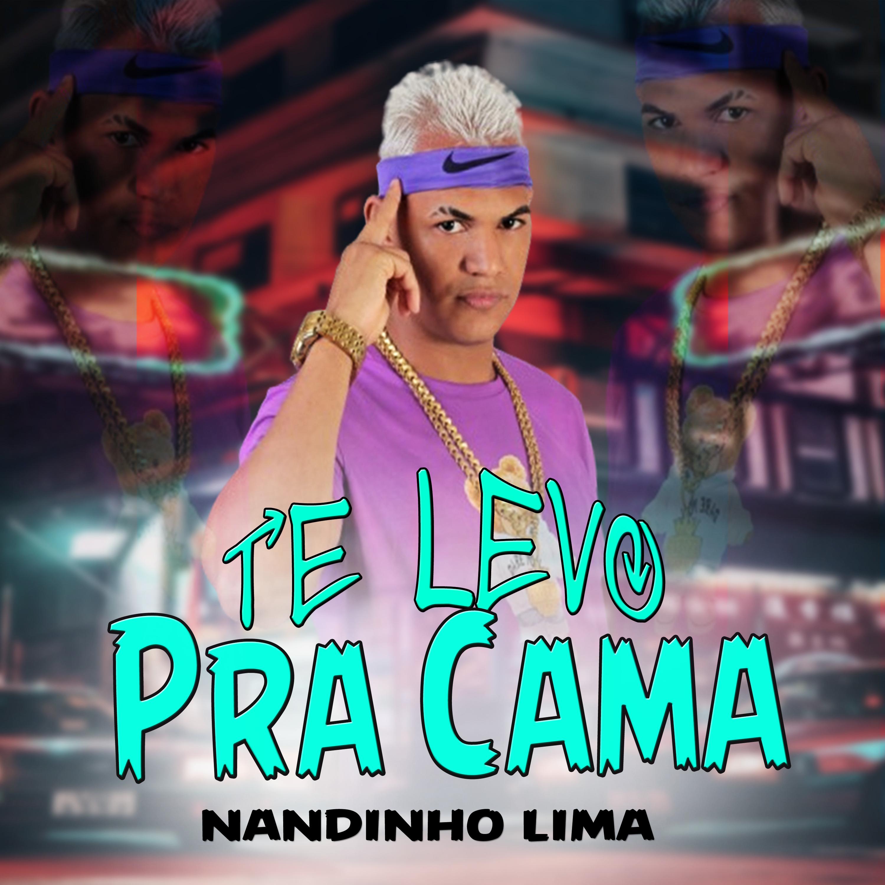 Постер альбома Te Levo pra Cama