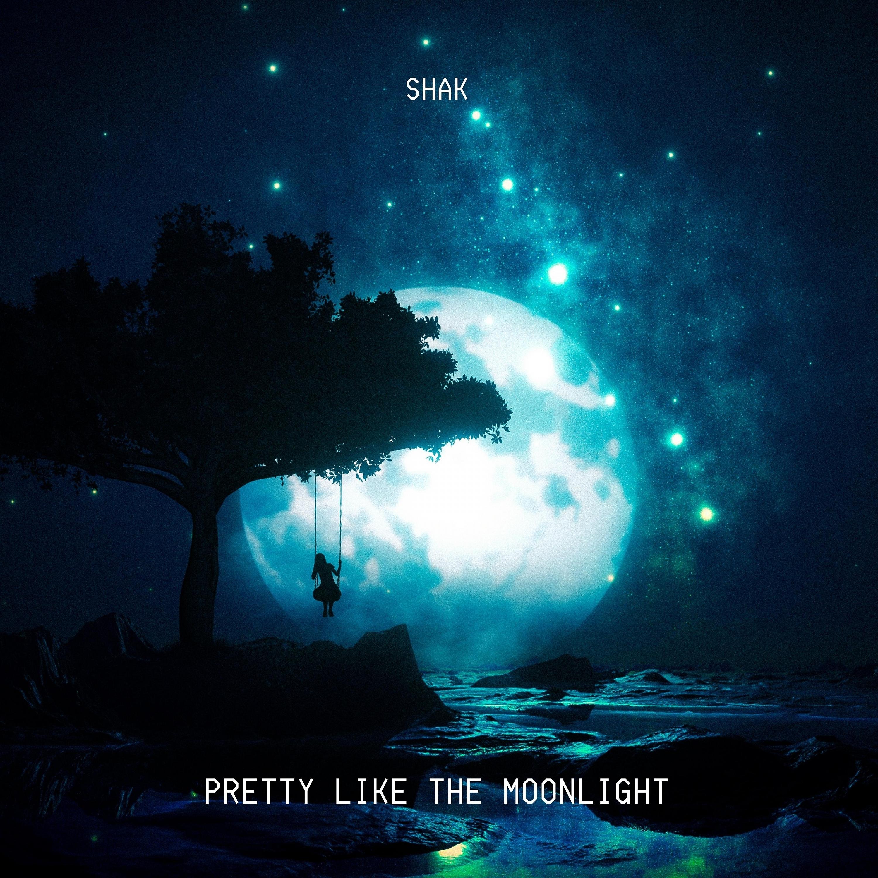 Постер альбома Pretty Like the Moonlight
