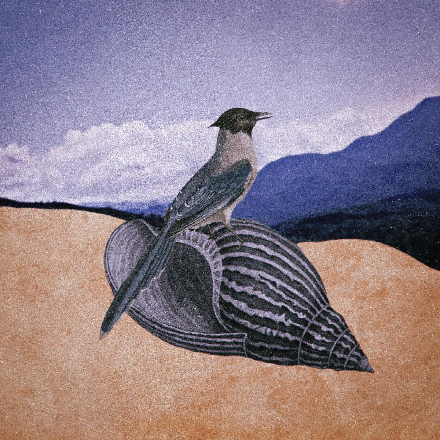 Постер альбома Pássaro Blue