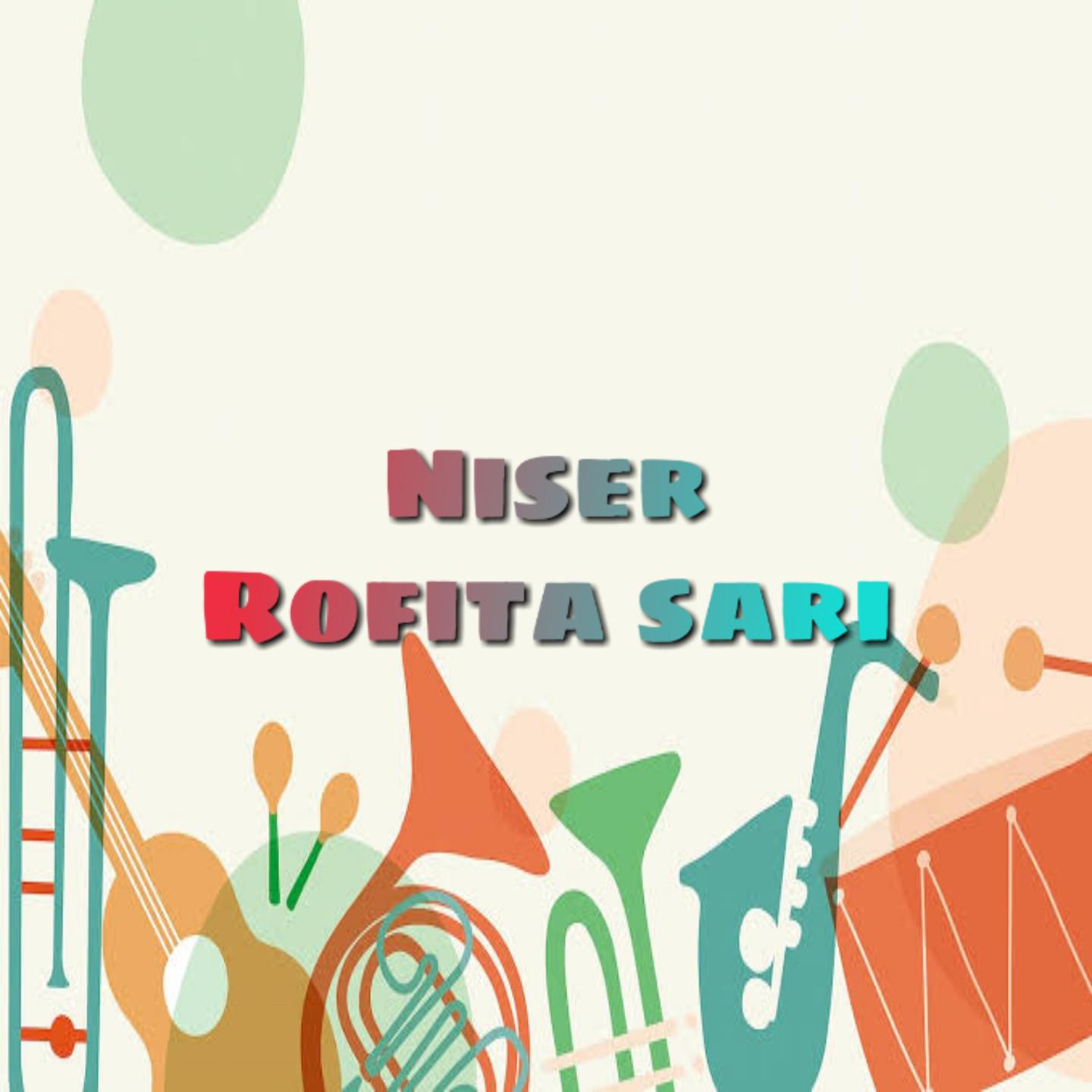Постер альбома Niser