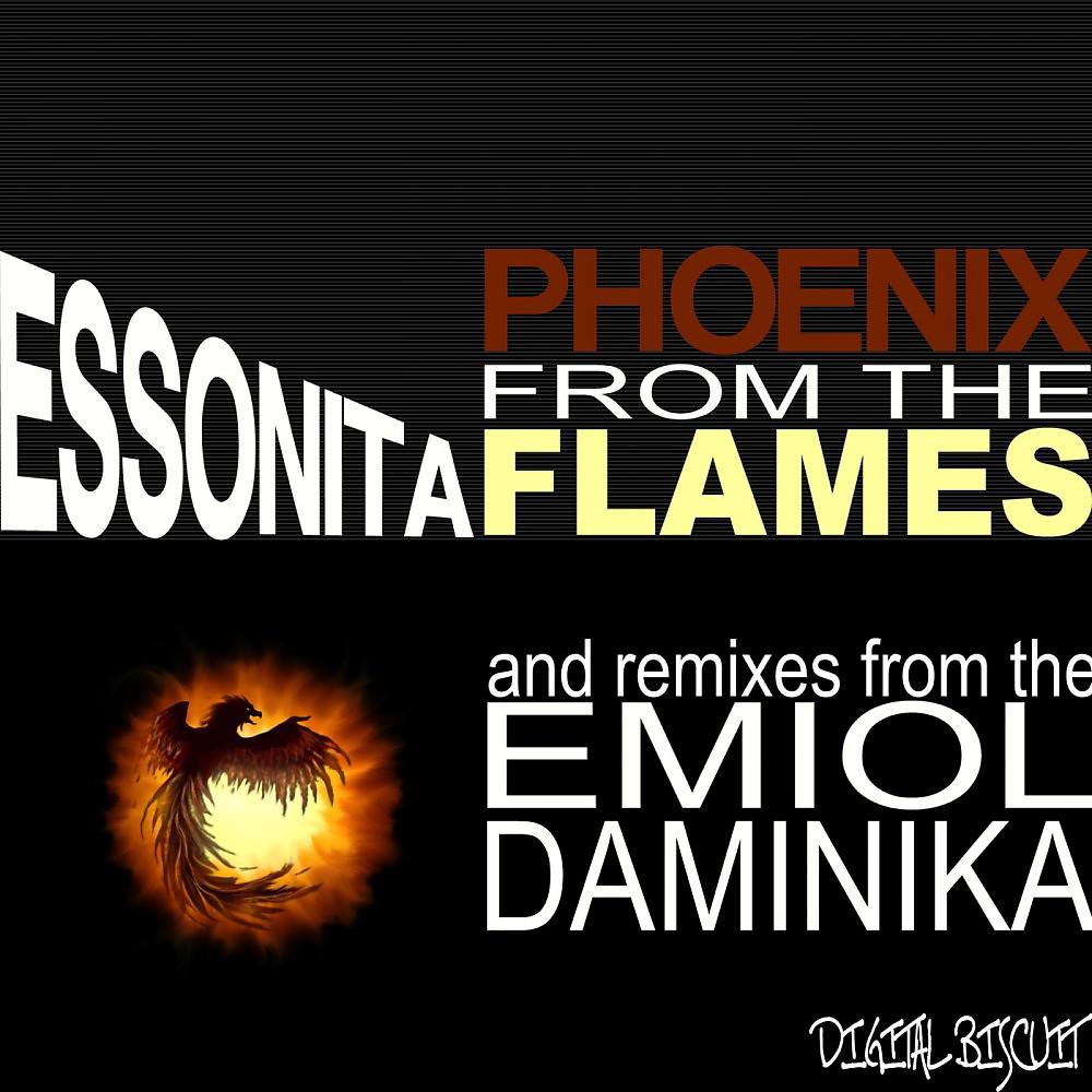 Постер альбома Phoenix from the Flames