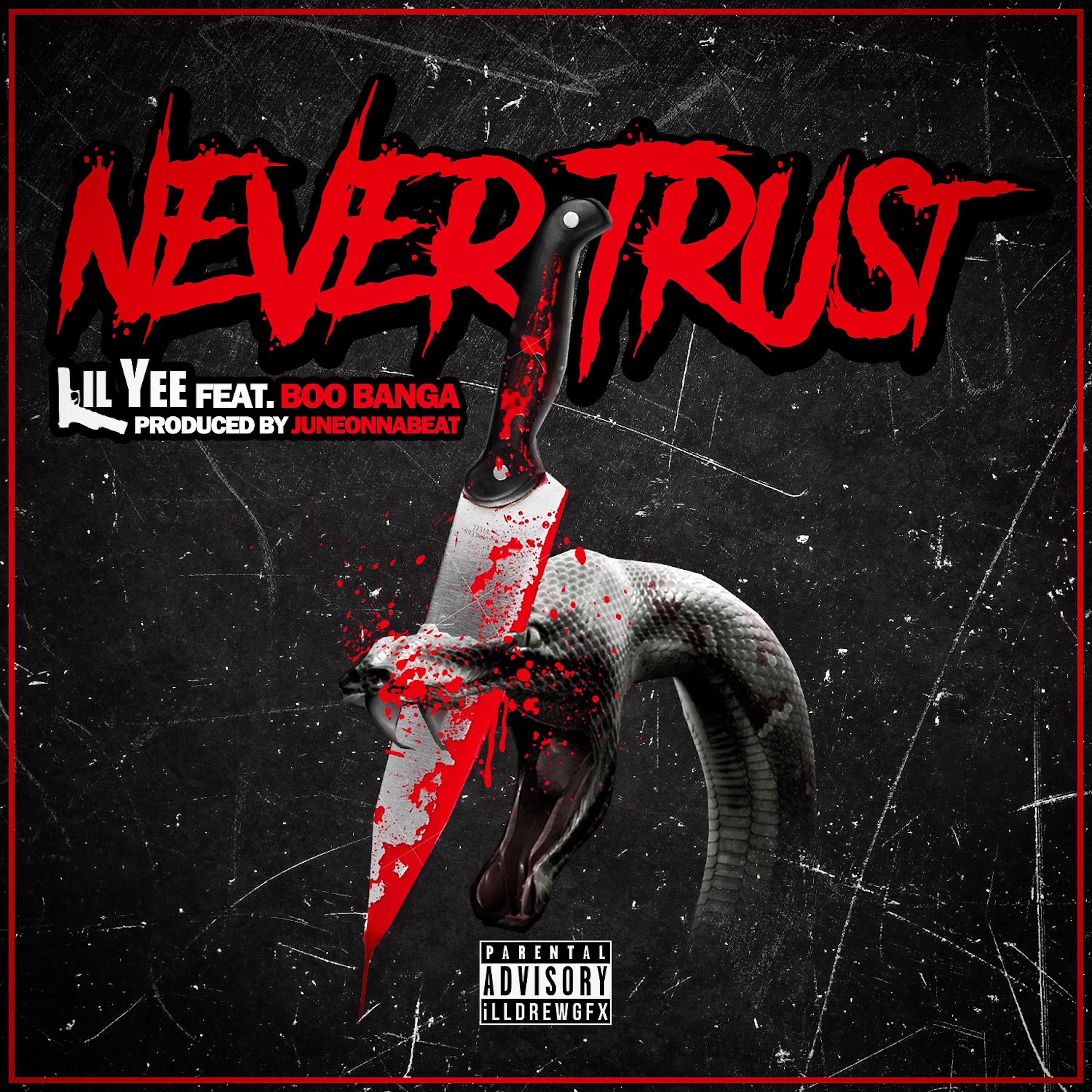 Постер альбома Never Trust
