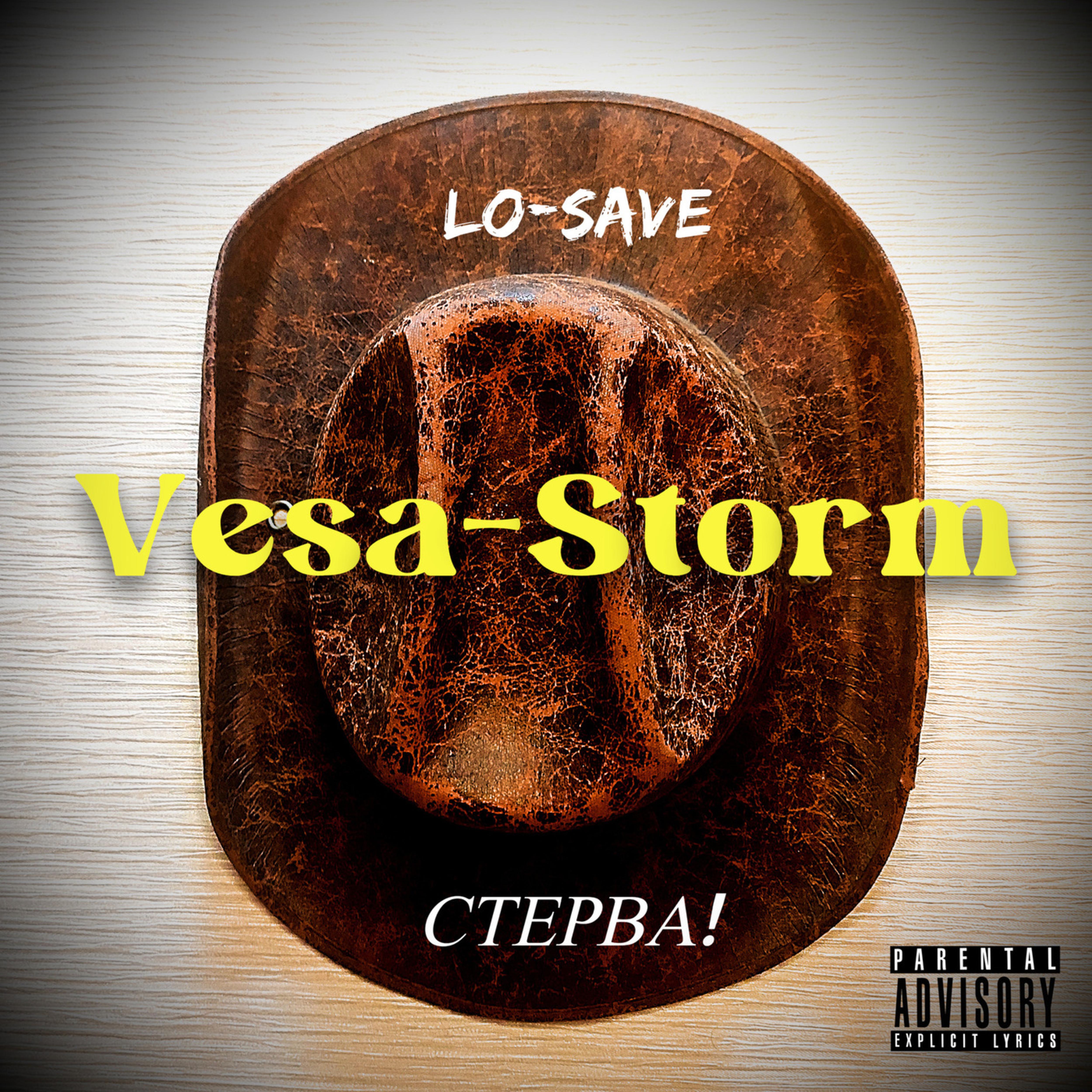 Постер альбома Vesa-storm