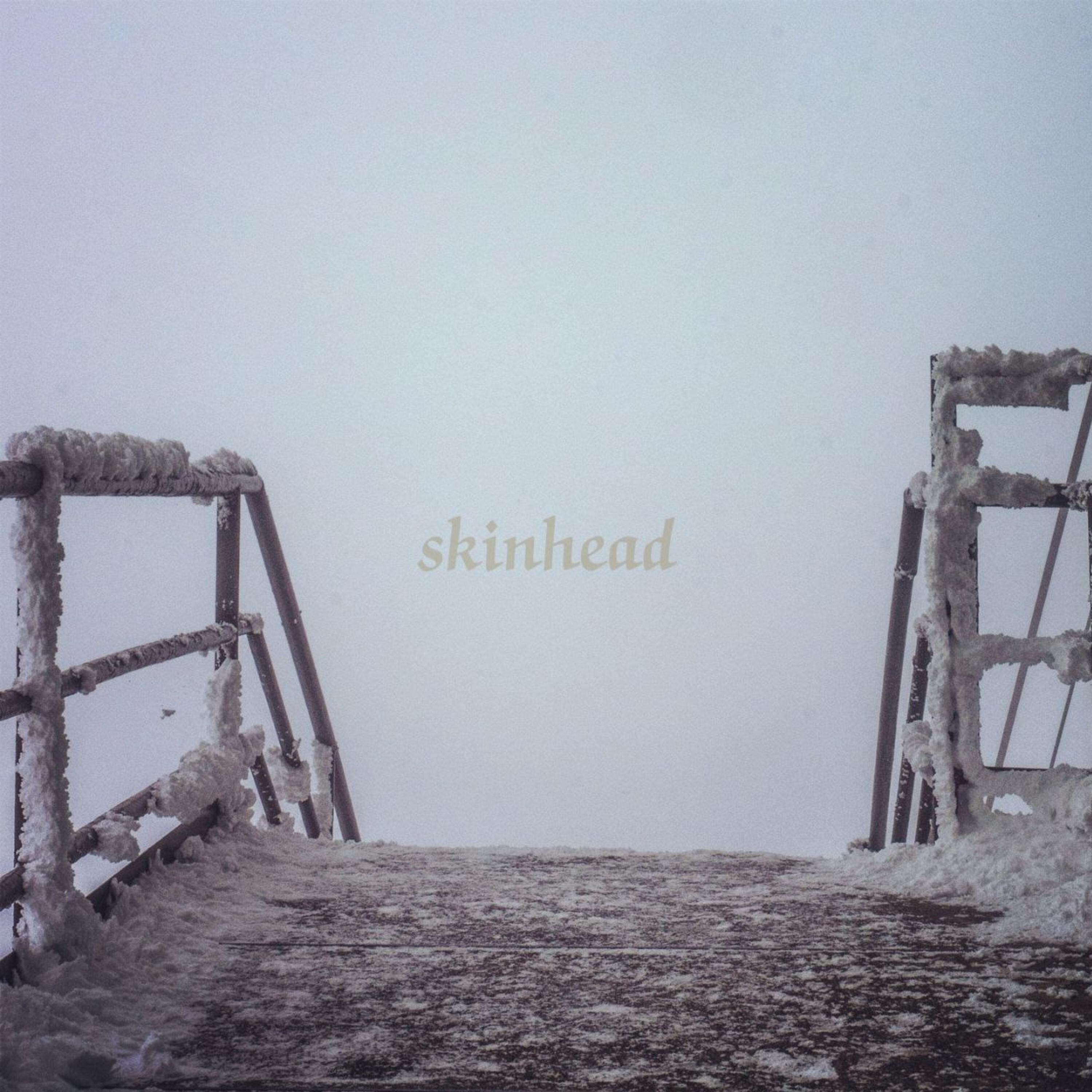 Постер альбома Skinhead