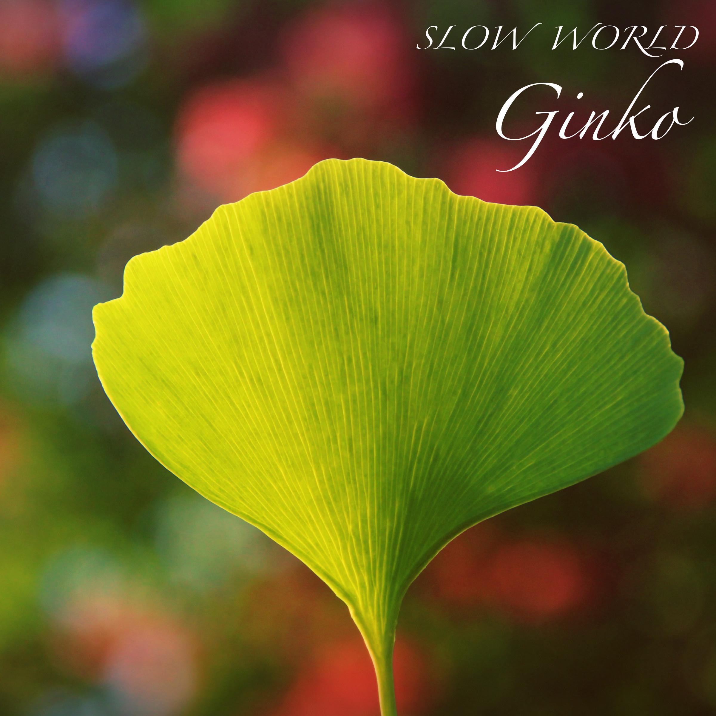 Постер альбома Ginko