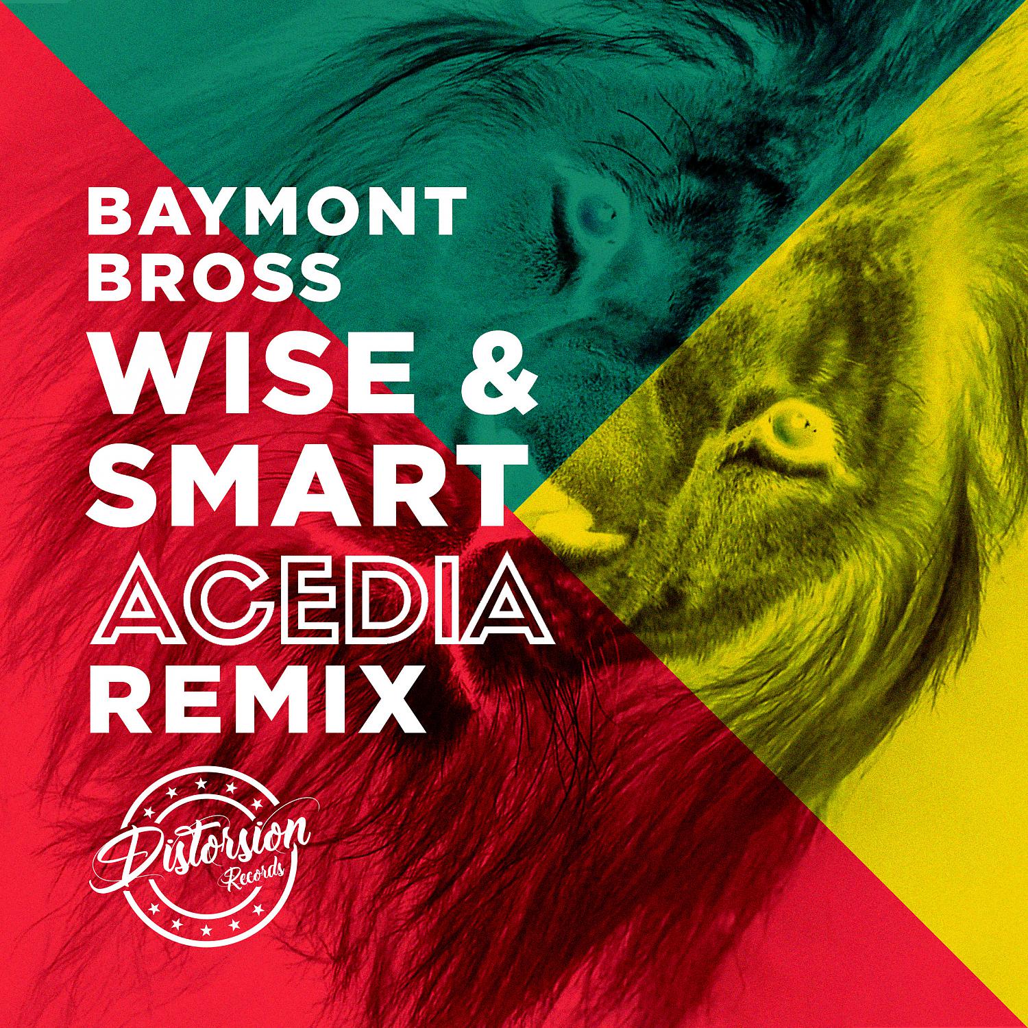 Постер альбома Wise & Smart (ACEDIA Remix)
