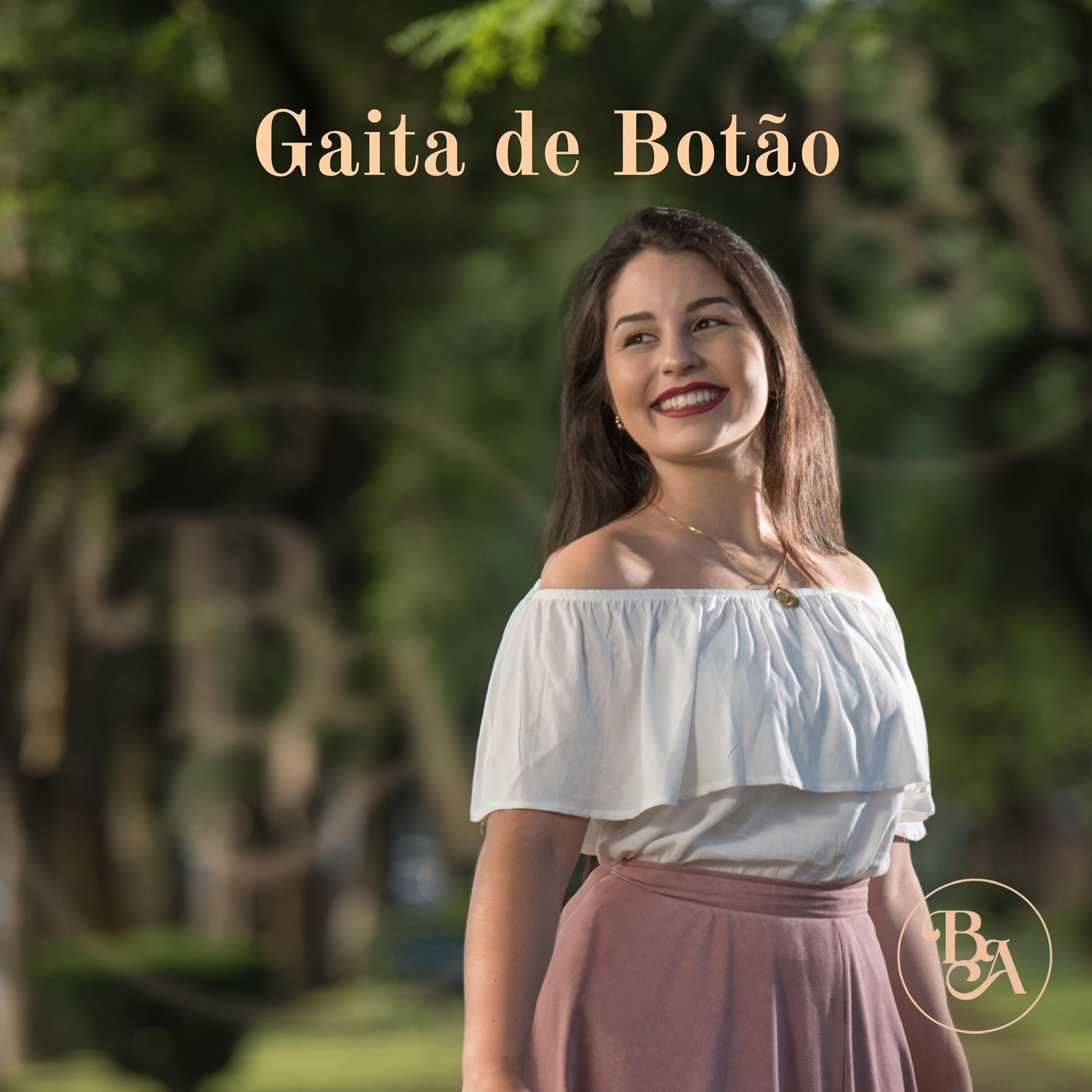 Постер альбома Gaita de Botão