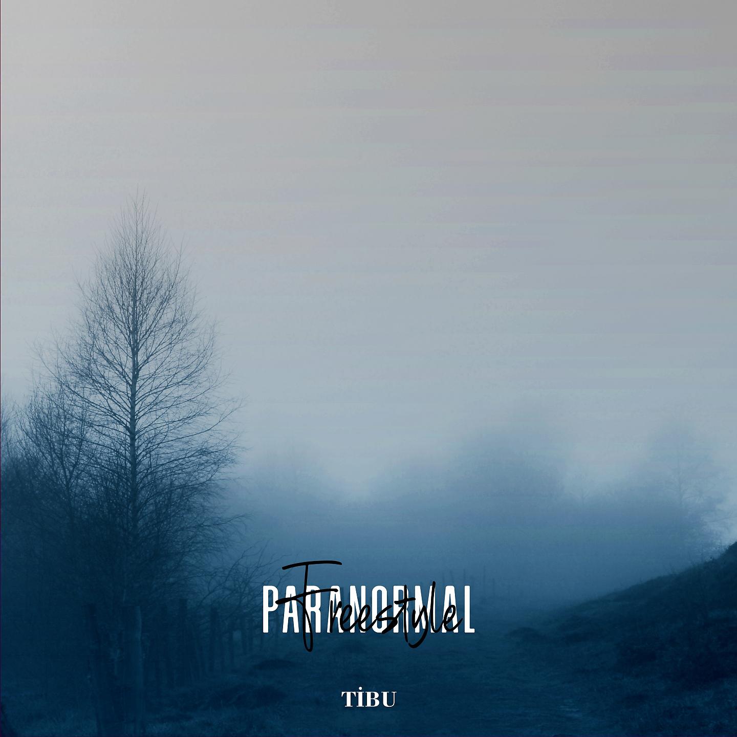 Постер альбома Paranormal Freestyle