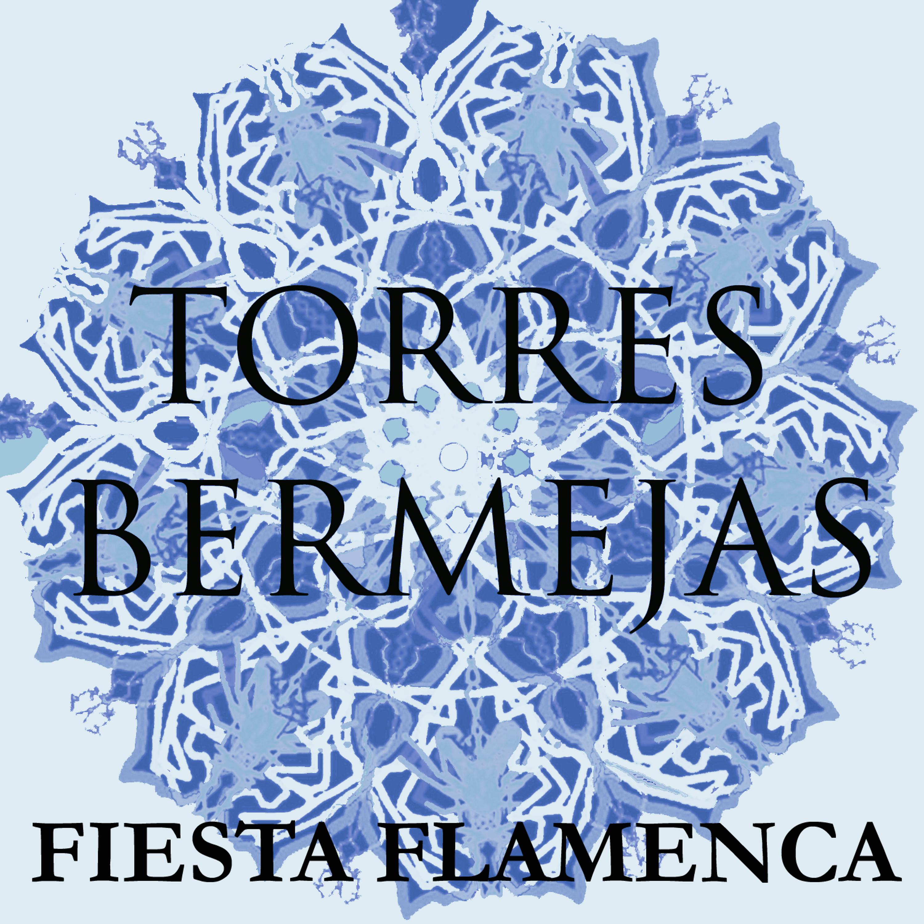 Постер альбома Fiesta Flamenca en Torres Bermejas
