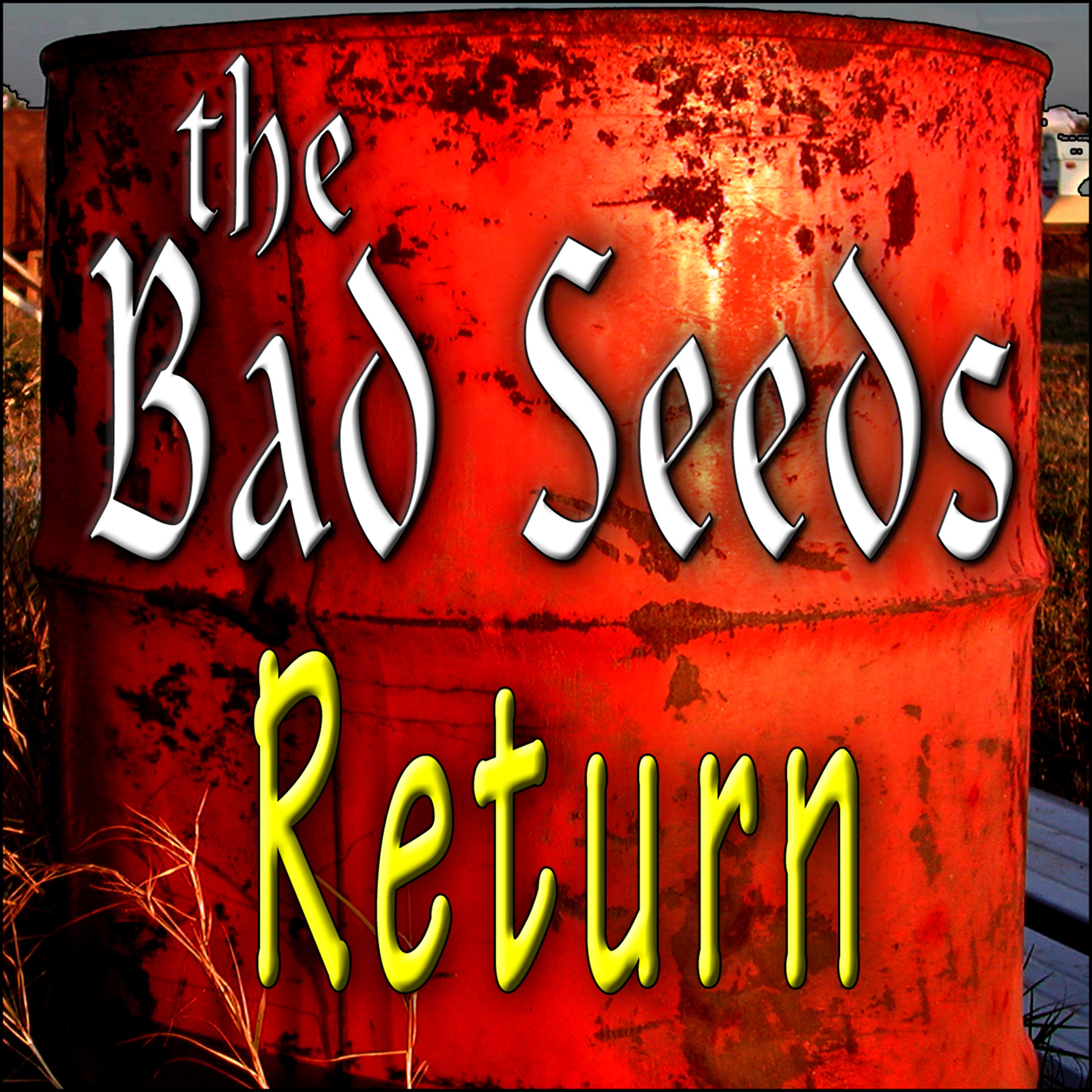 Постер альбома The Bad Seeds Return
