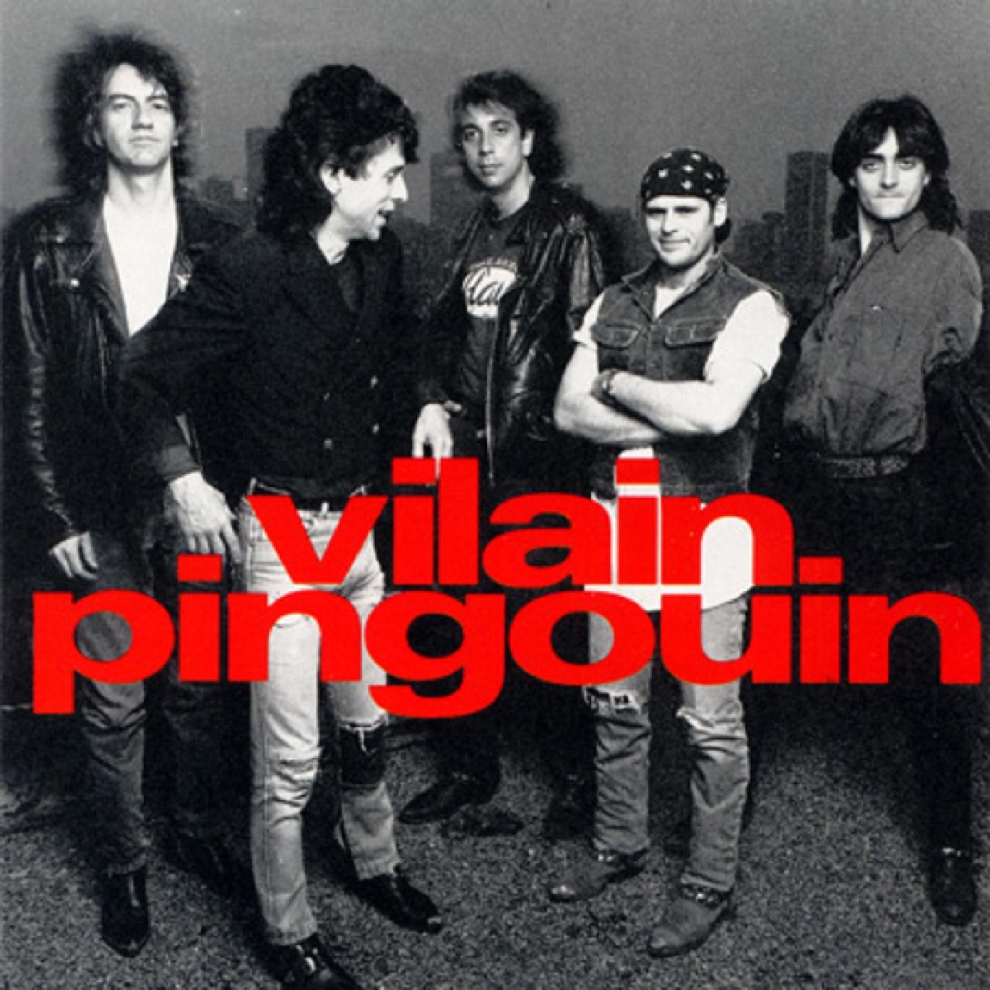 Постер альбома Vilain Pingouin