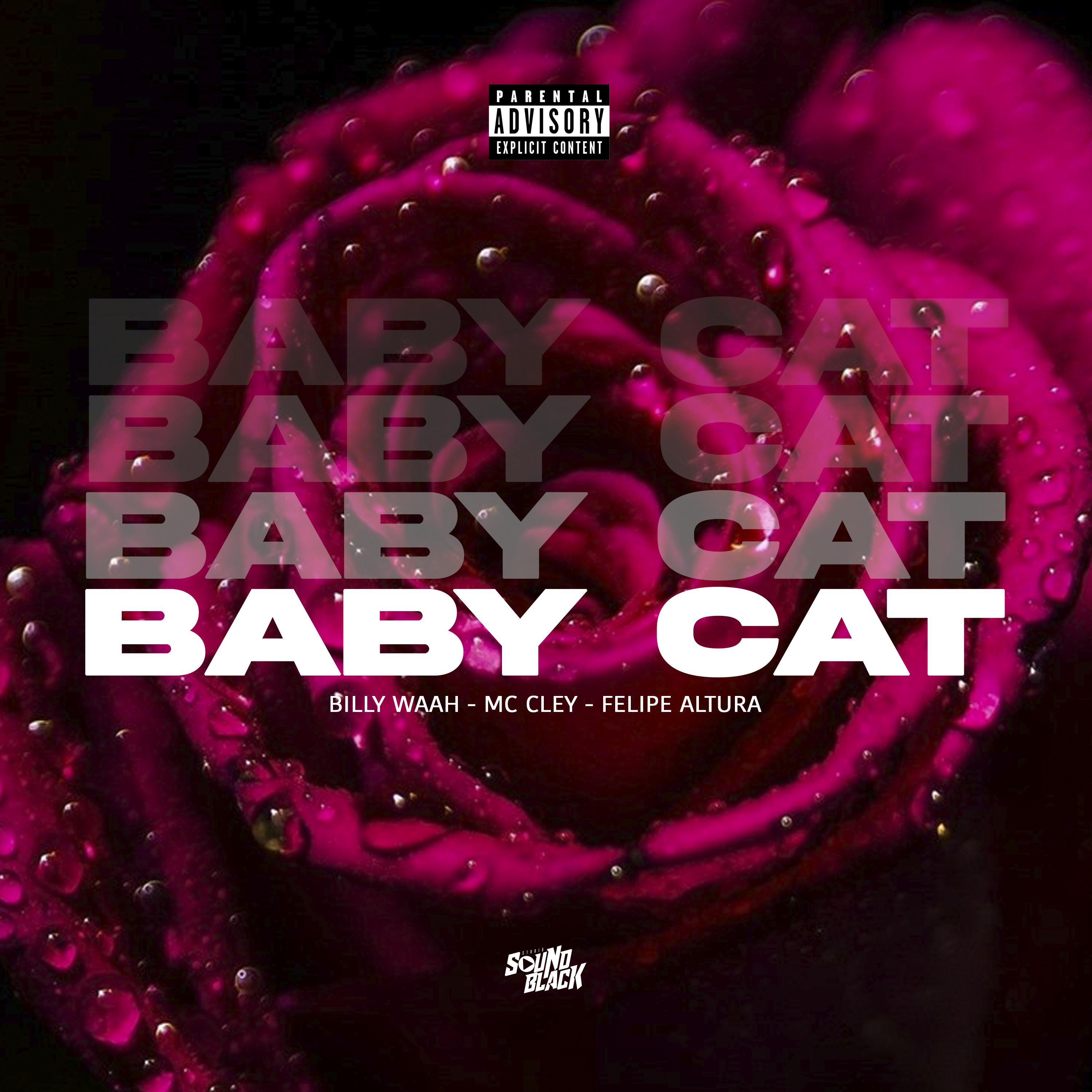 Постер альбома Baby Cat