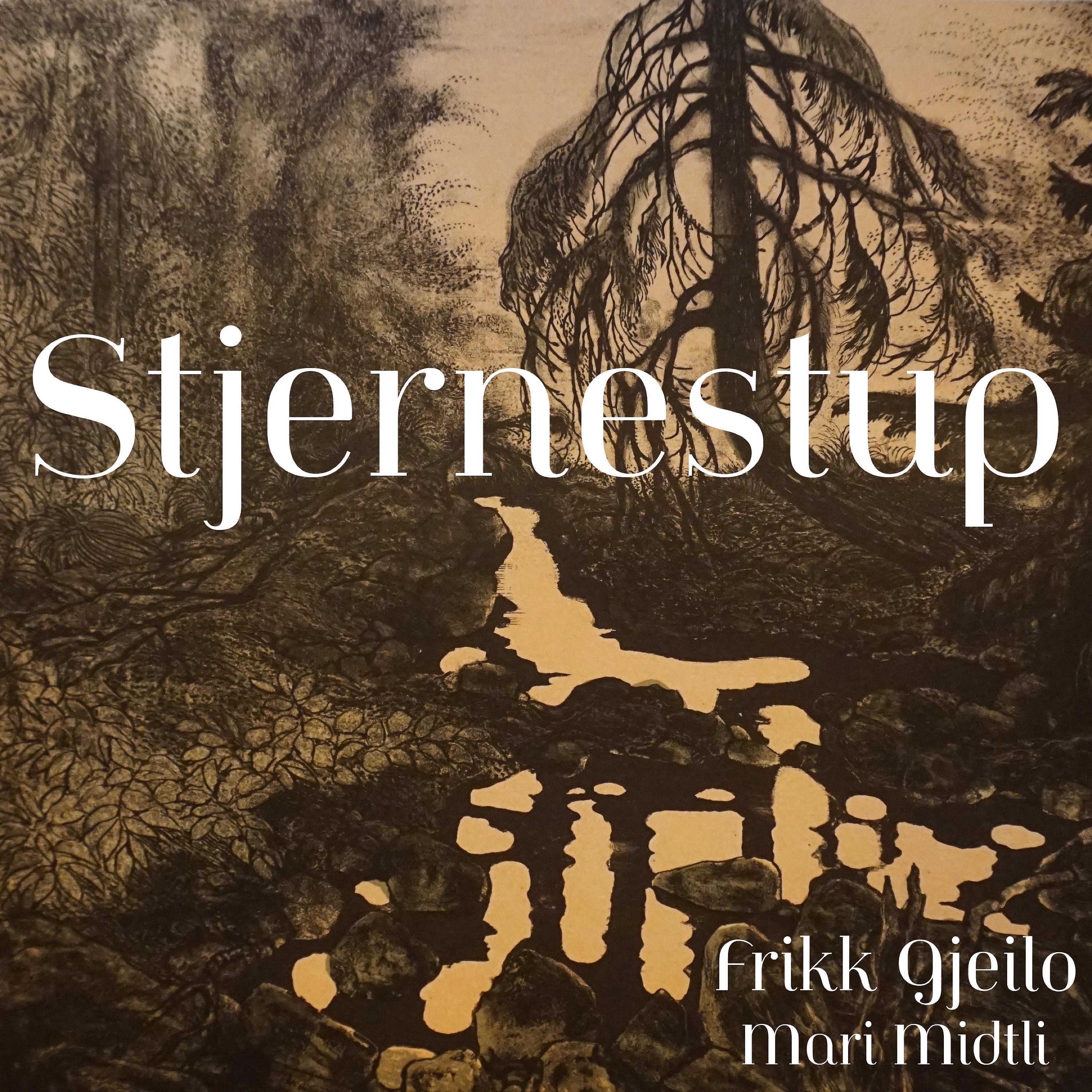 Постер альбома Stjernestup