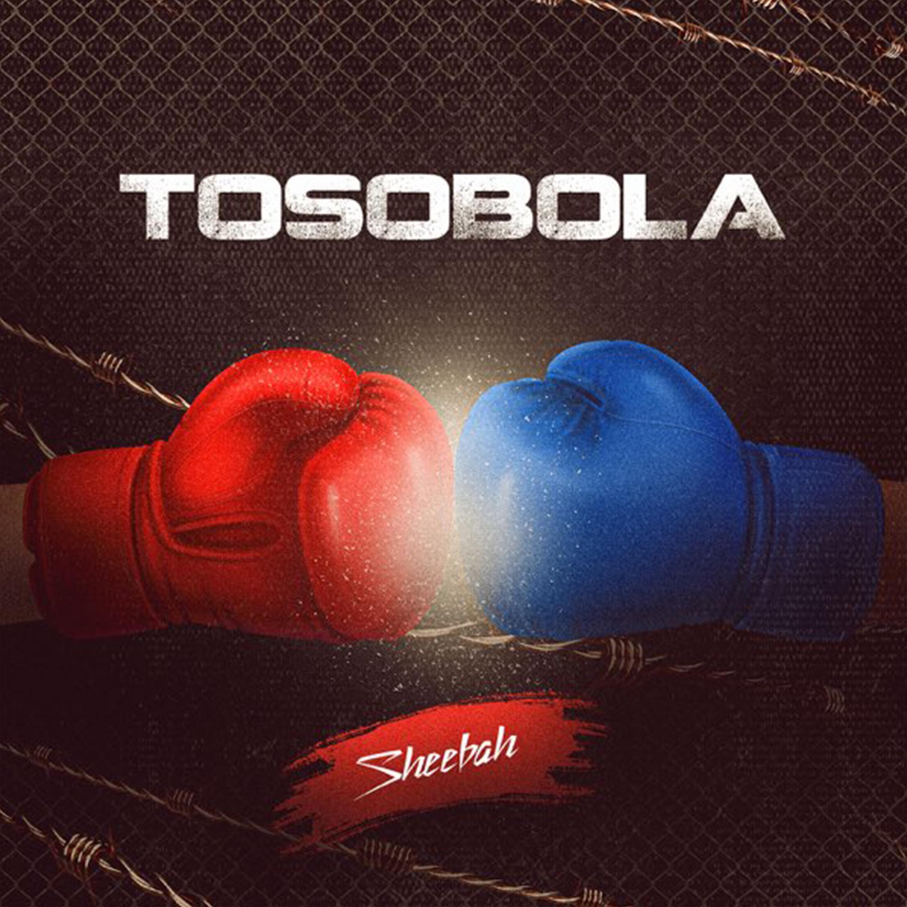 Постер альбома Tosobola