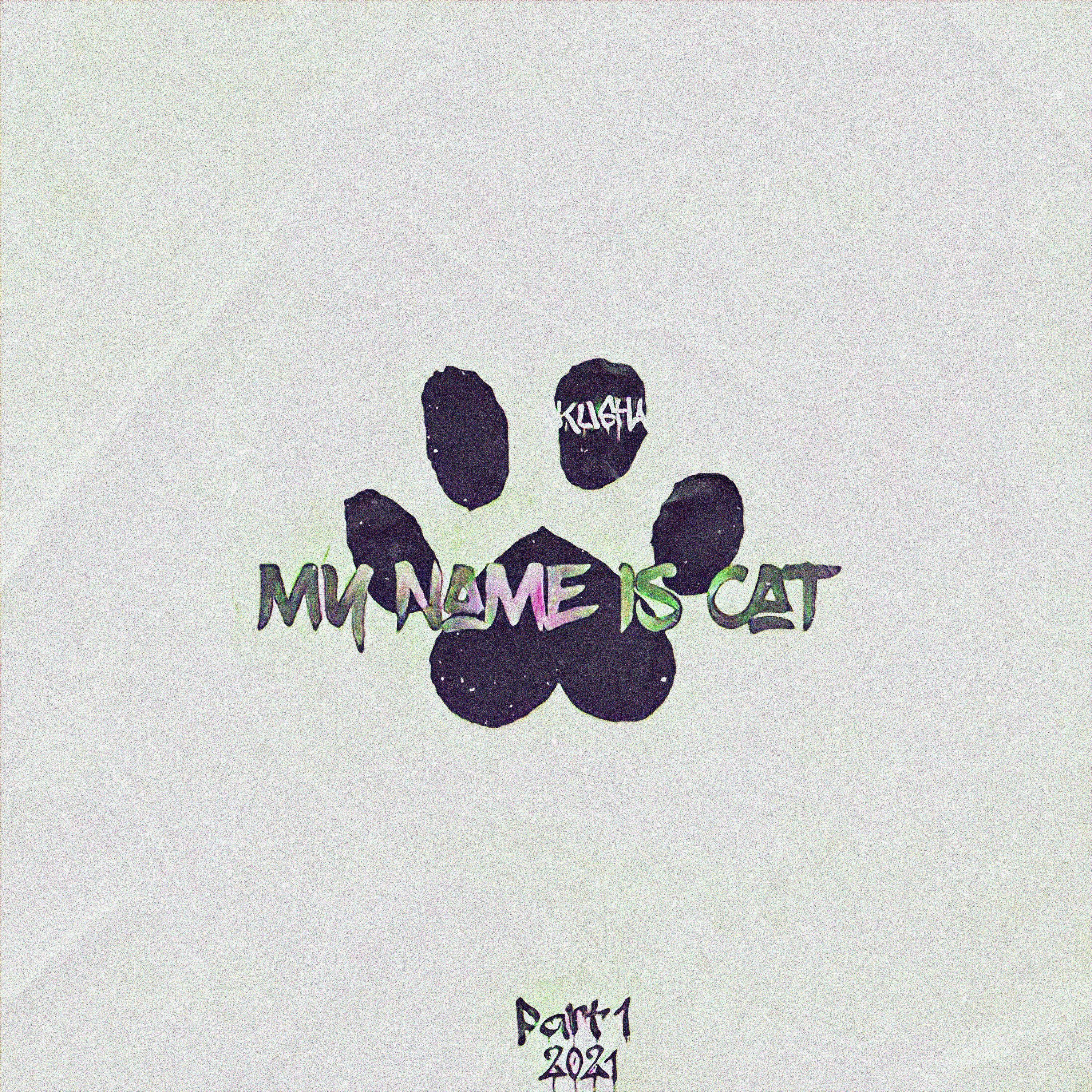 Постер альбома My Name is Cat, Pt. 1