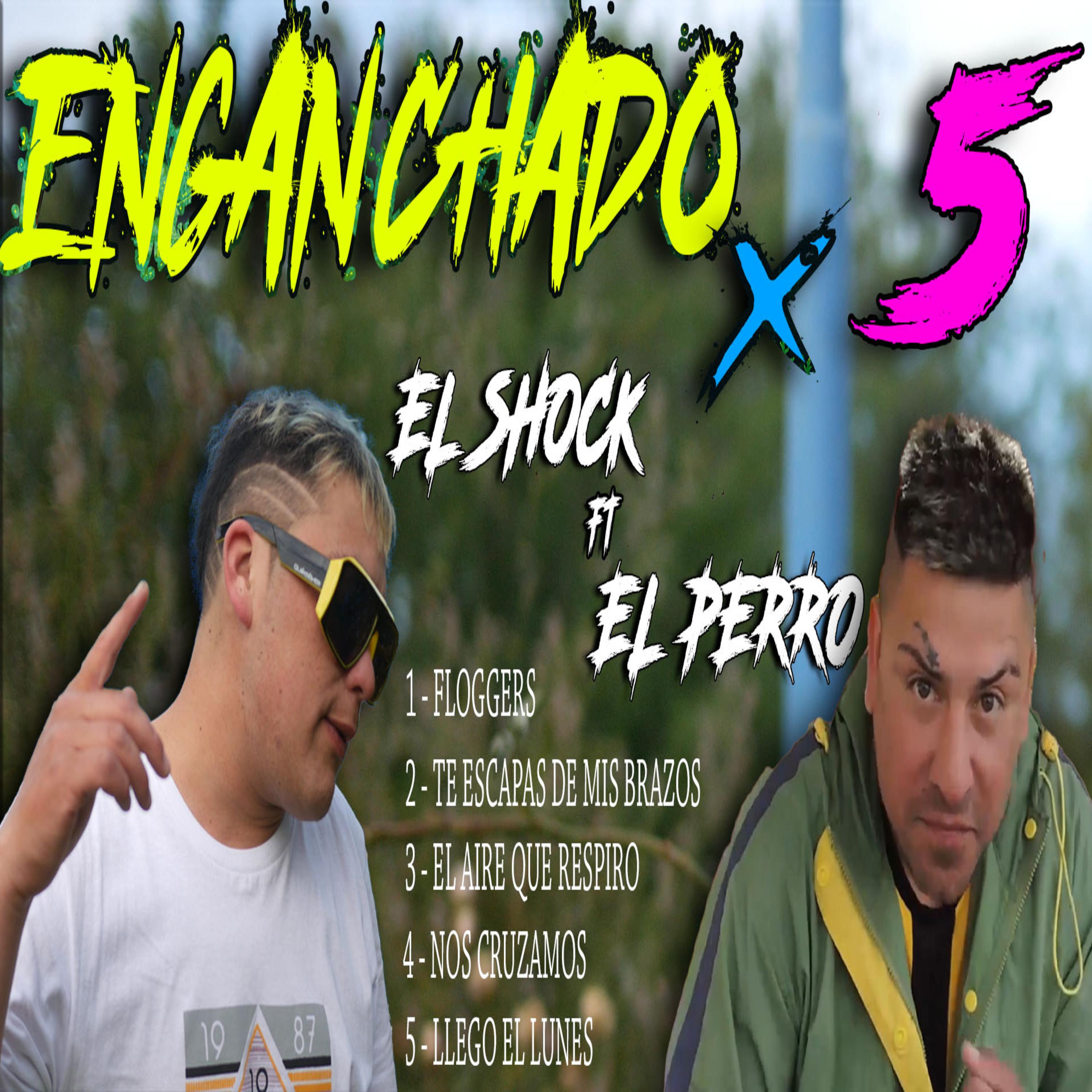 Постер альбома Enganchados X 5