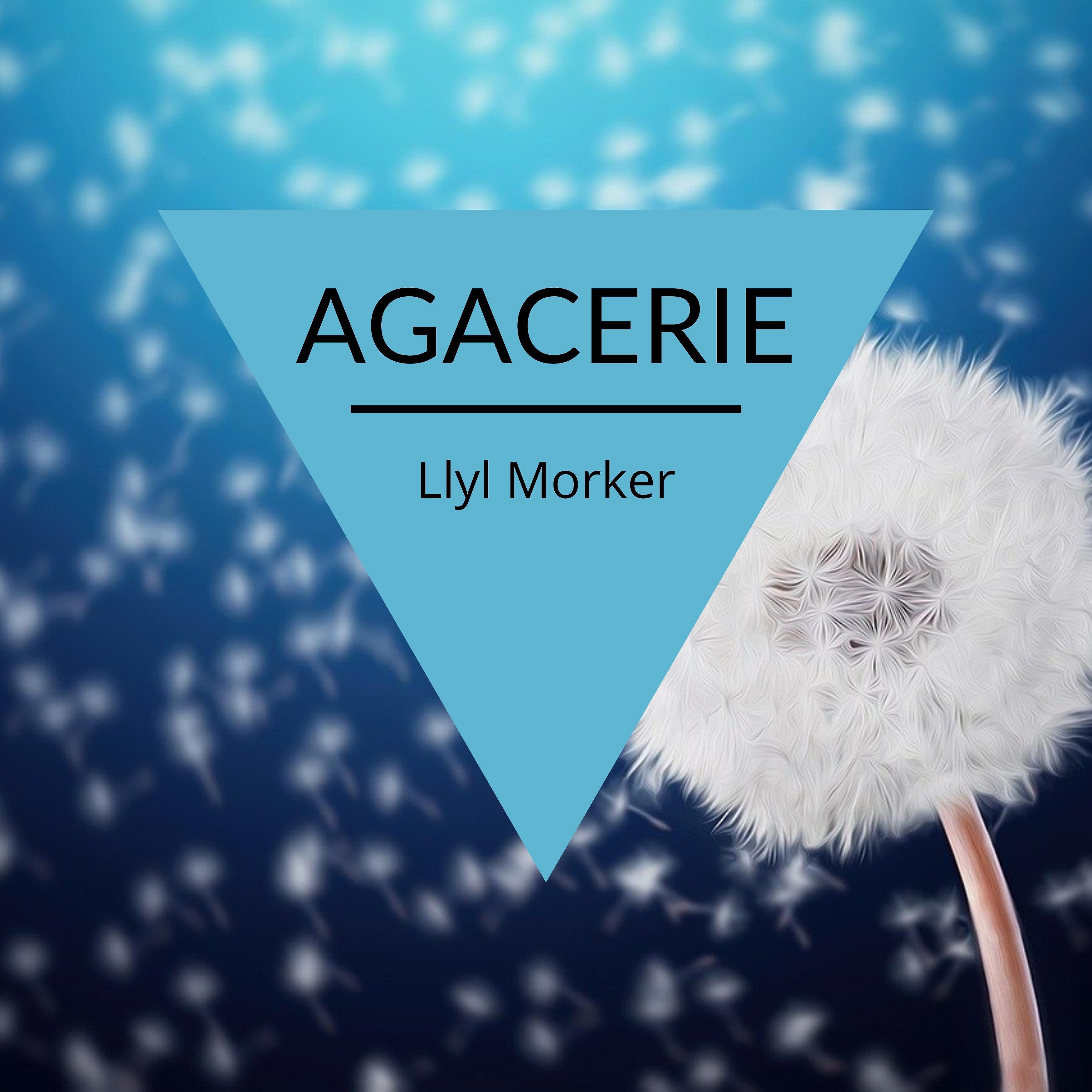Постер альбома Agacerie