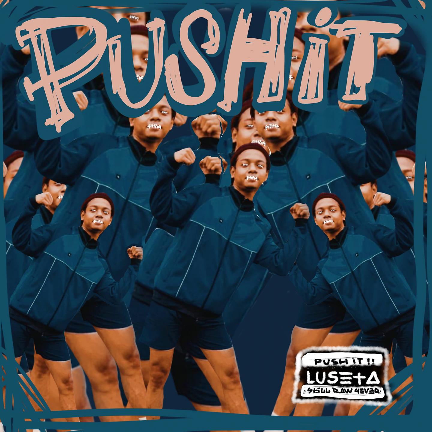 Постер альбома Pushit