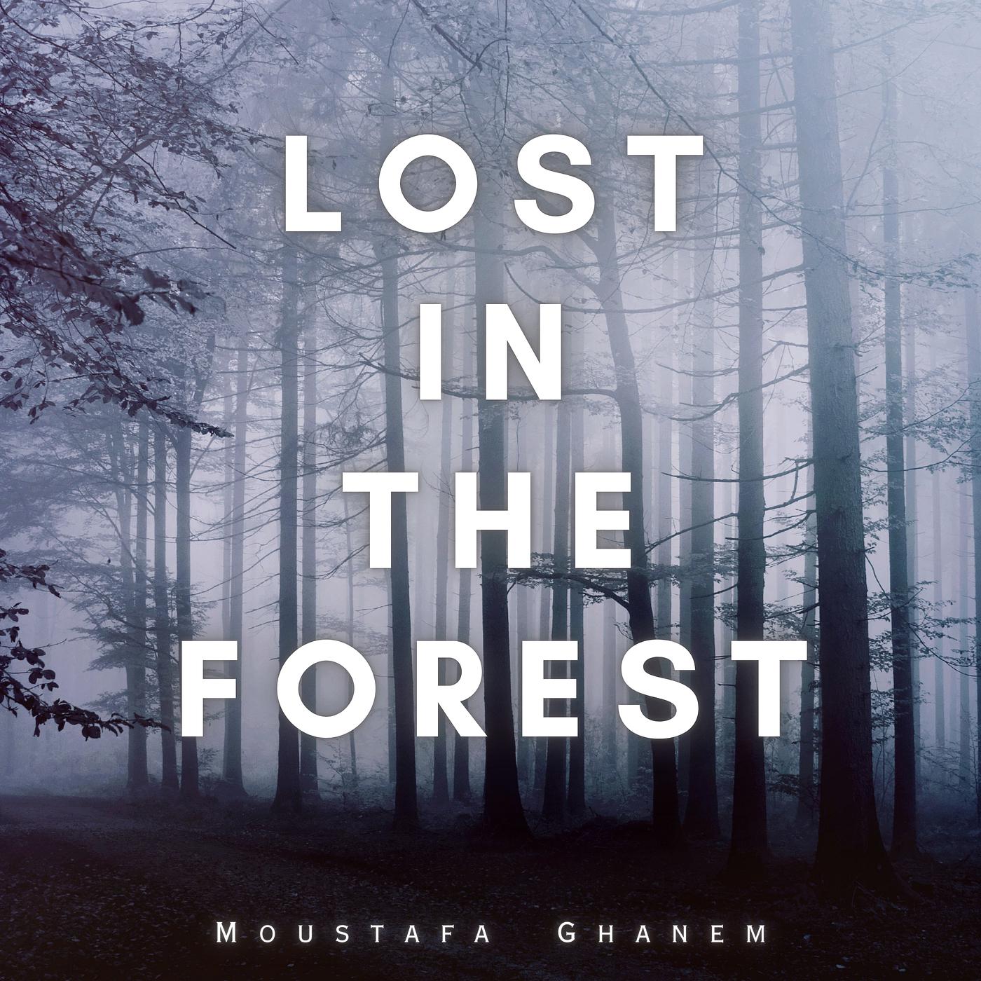 Постер альбома Lost in the Forest