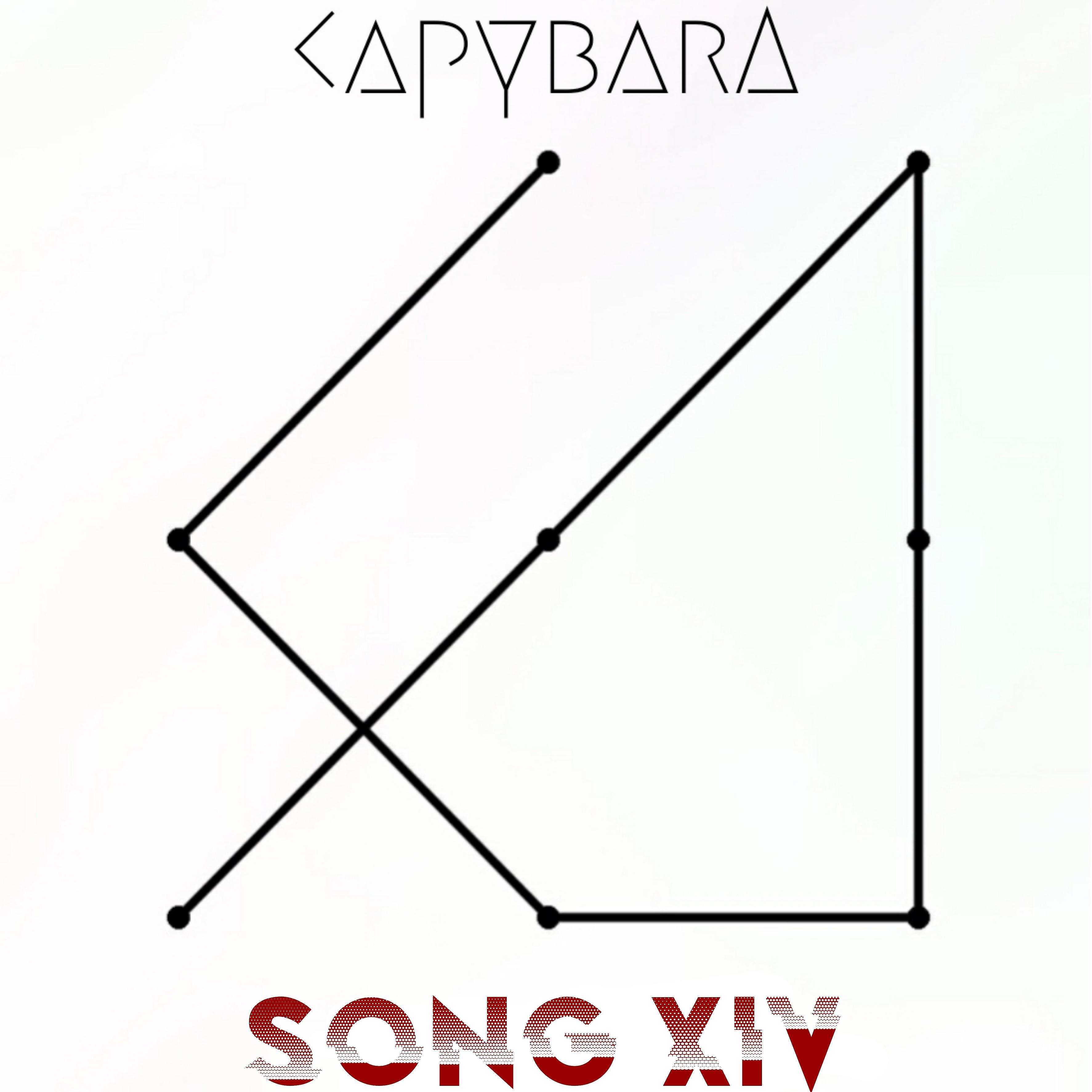 Постер альбома Song 14