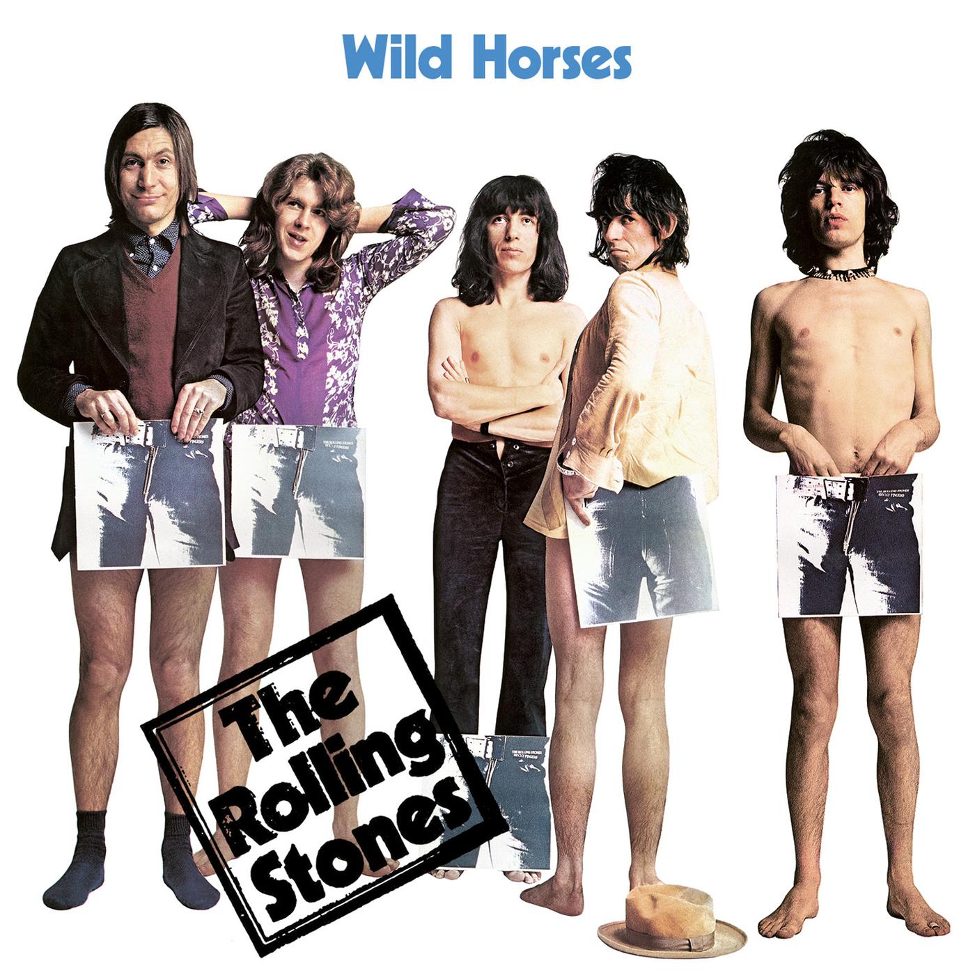 Постер альбома Wild Horses