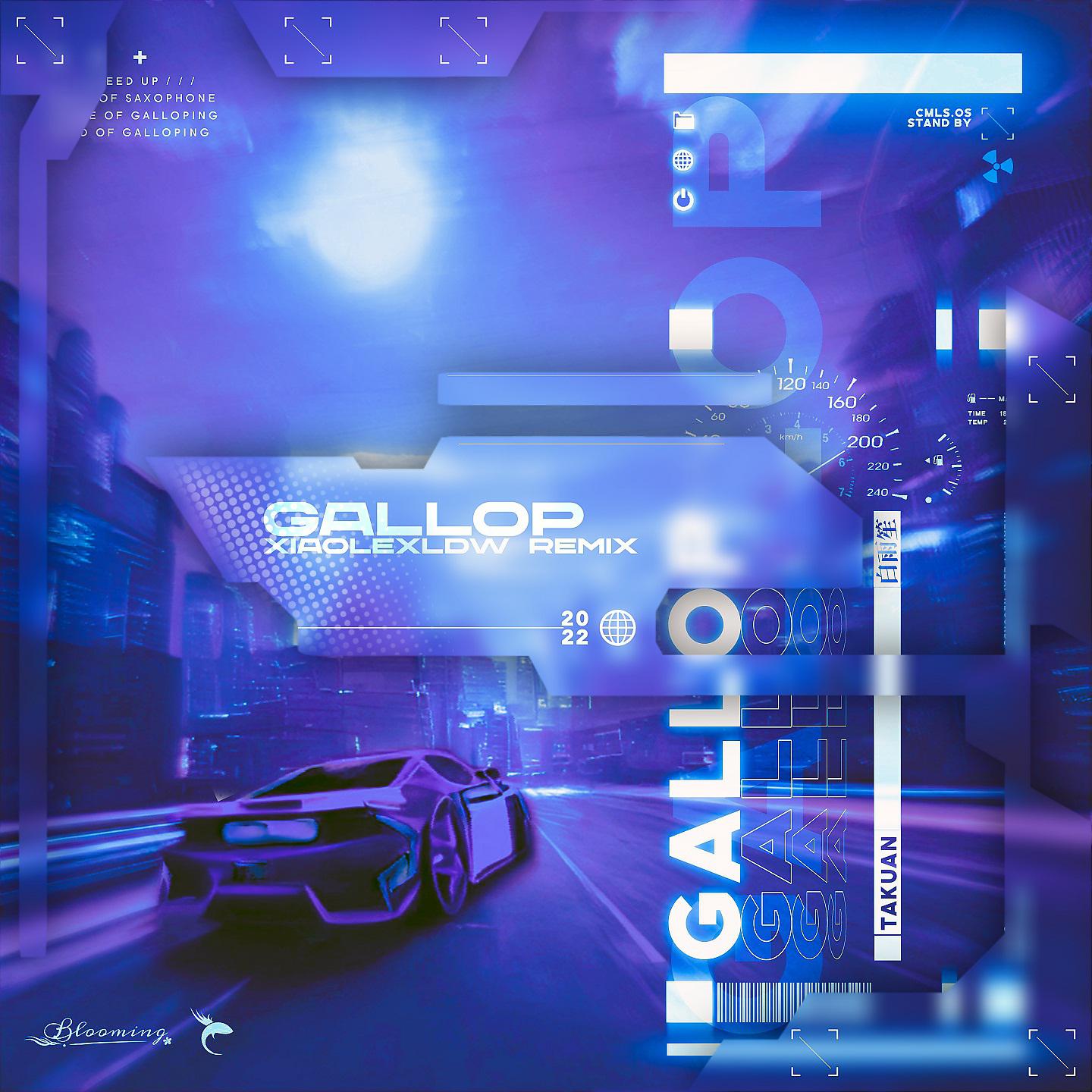 Постер альбома Gallop(小乐XLDW Remix)
