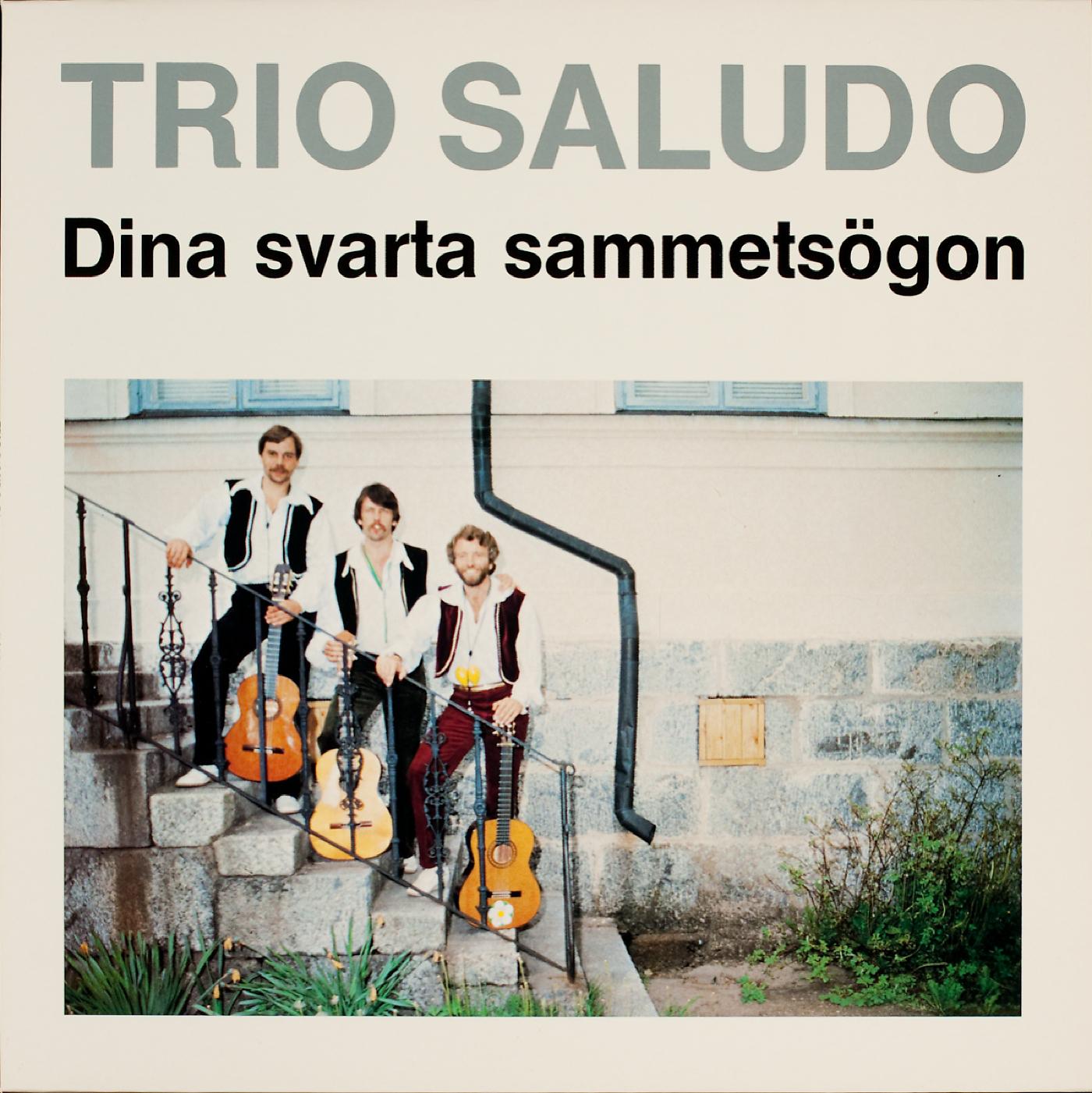 Постер альбома Dina svarta sammetsögon