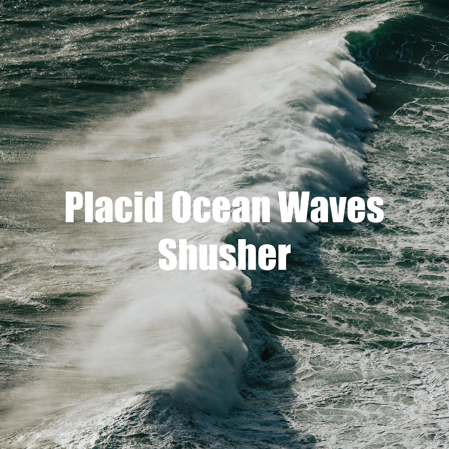 Постер альбома Placid Ocean Waves Shusher