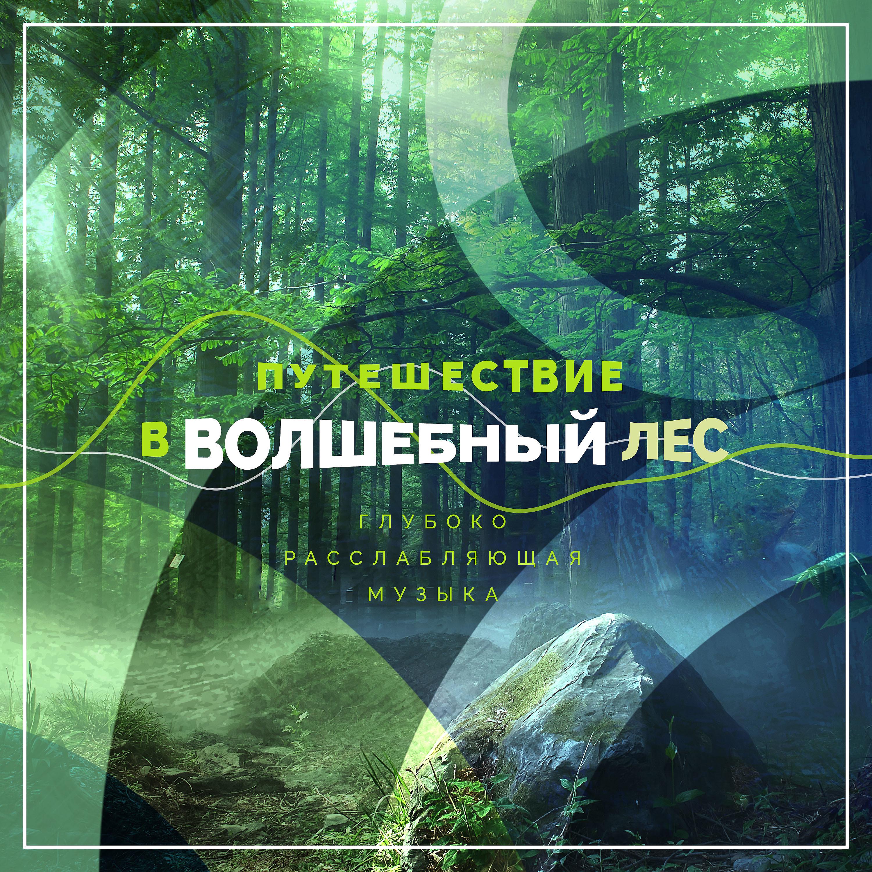 Постер альбома Путешествие в волшебный лес. Глубокo расслабляющая музыкa