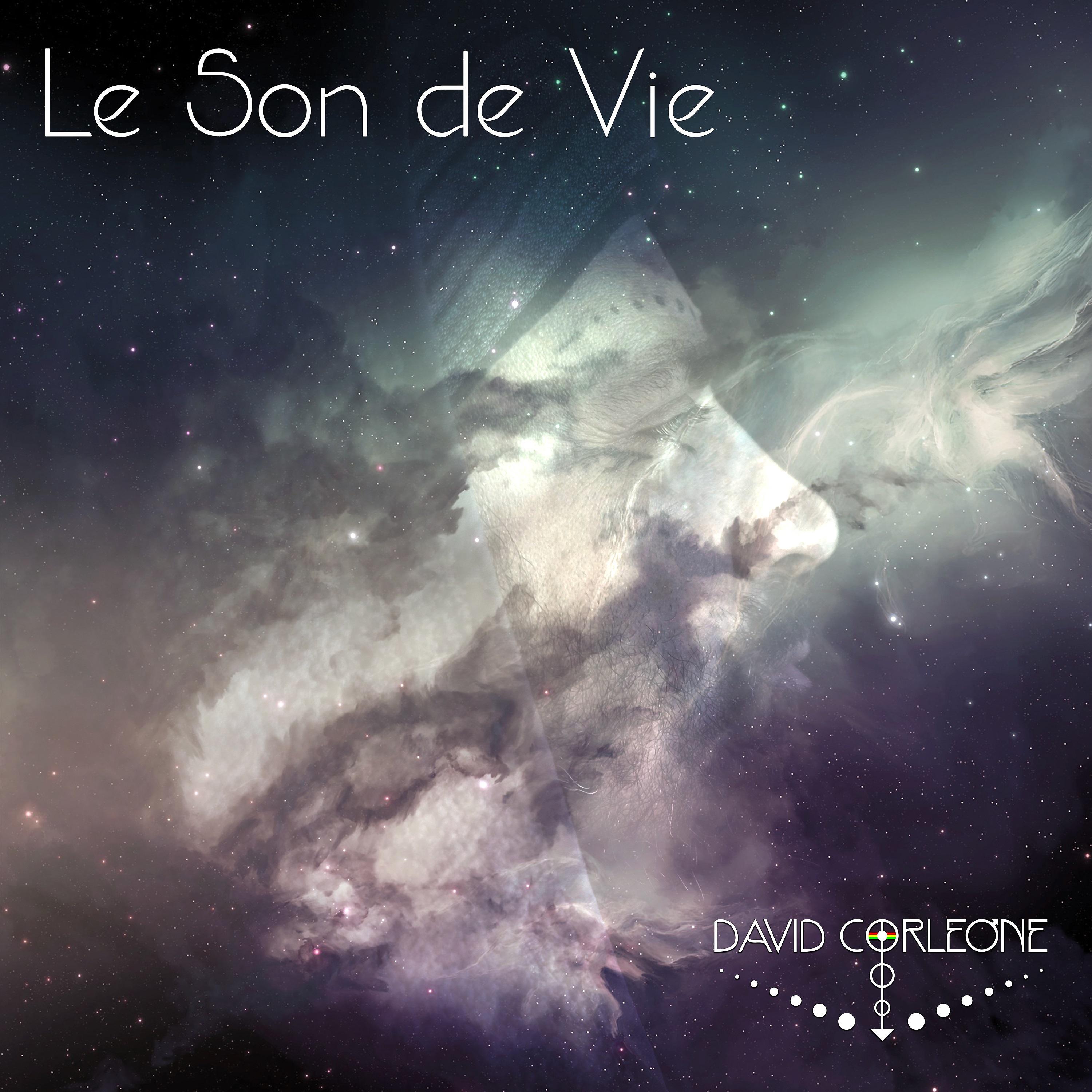 Постер альбома Le son de vie