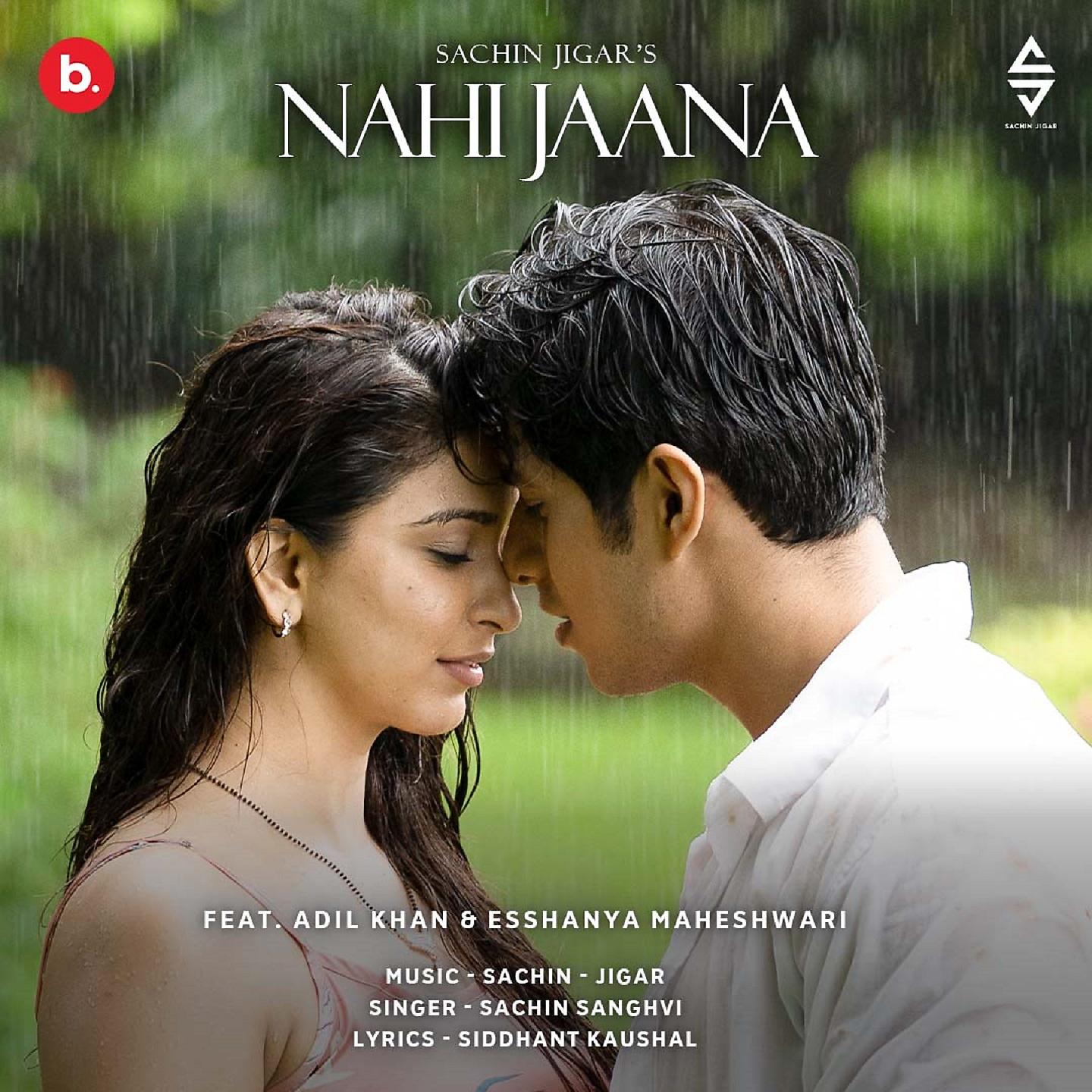 Постер альбома Nahi Jaana