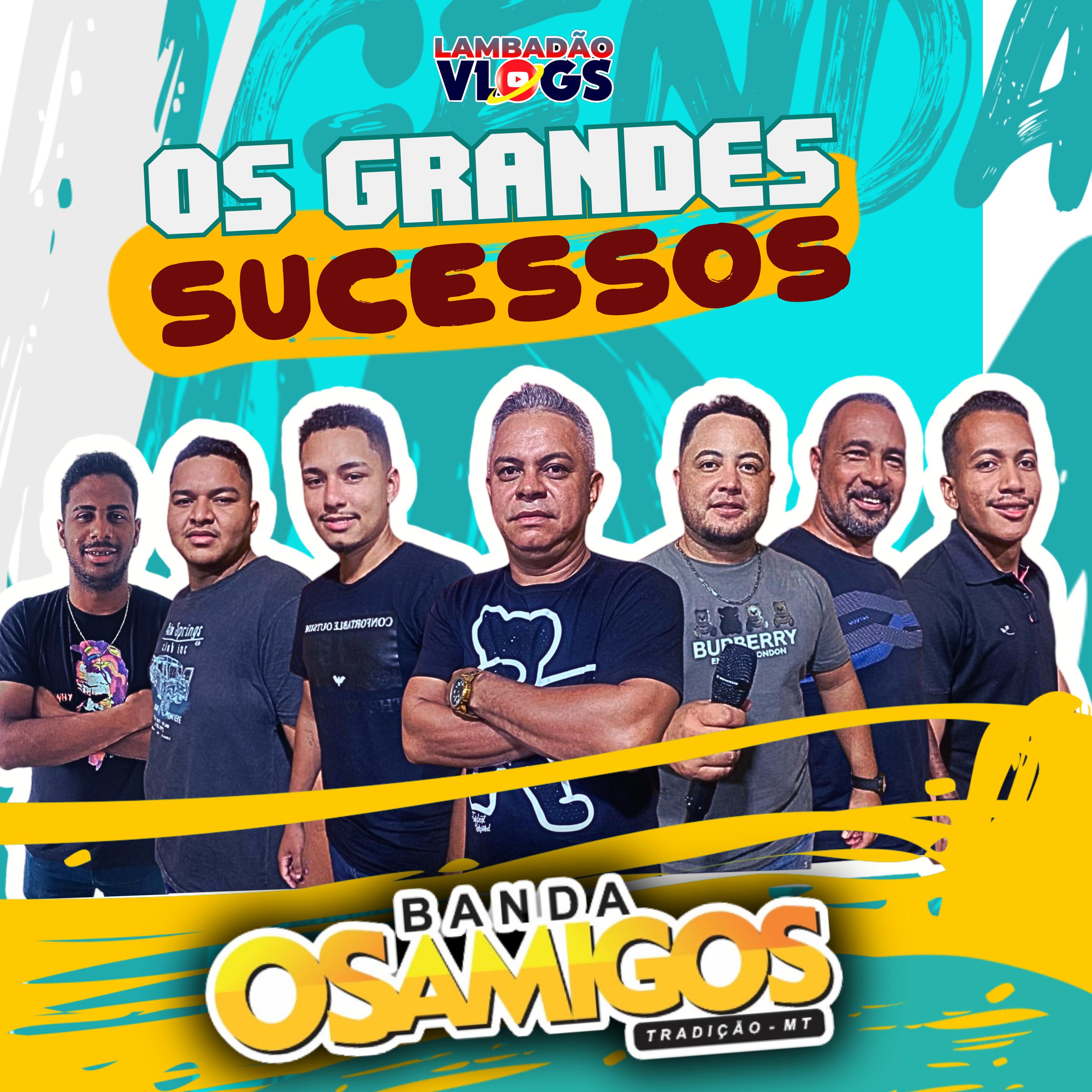 Постер альбома Os Grandes Sucessos