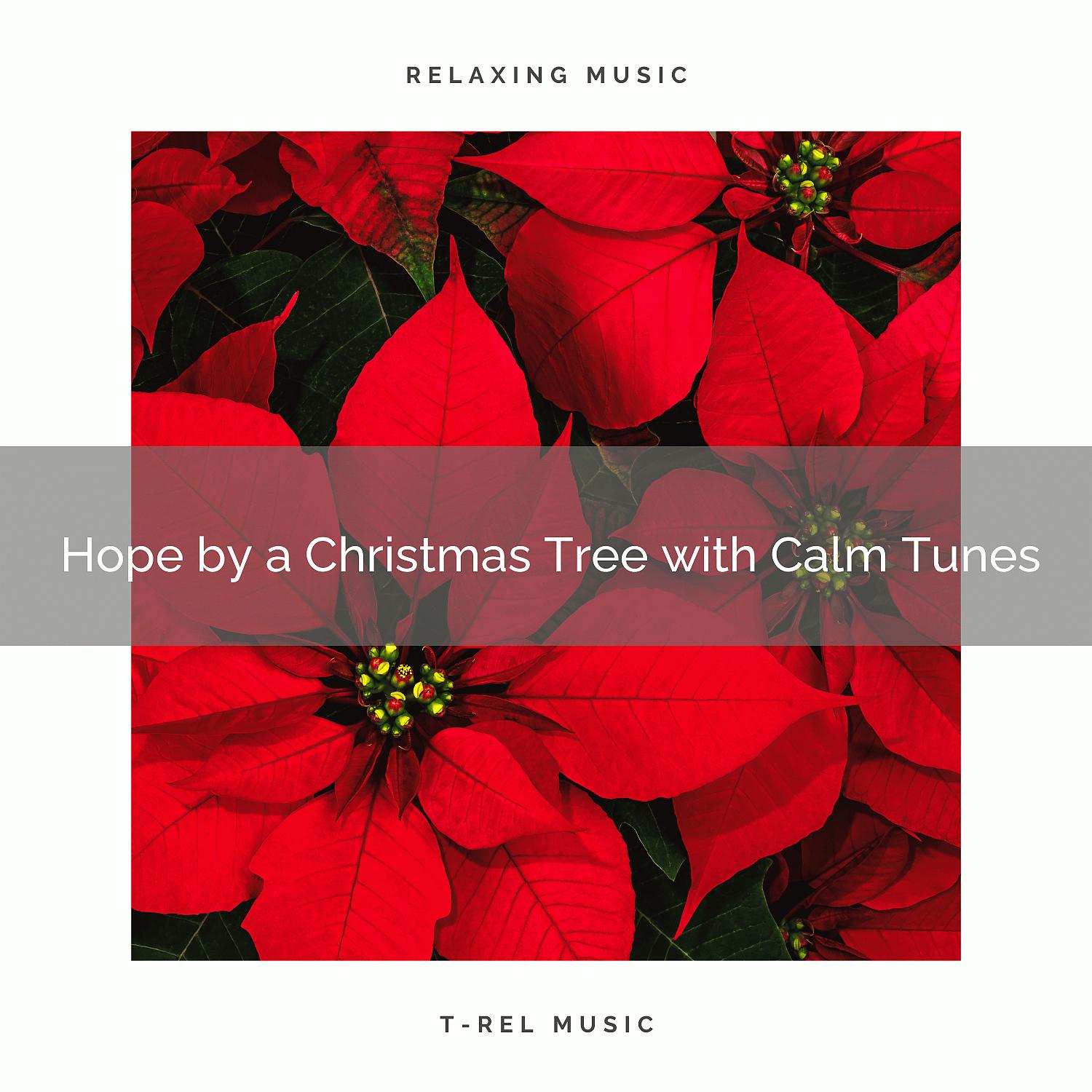 Постер альбома Hope by a Christmas Tree with Calm Tunes