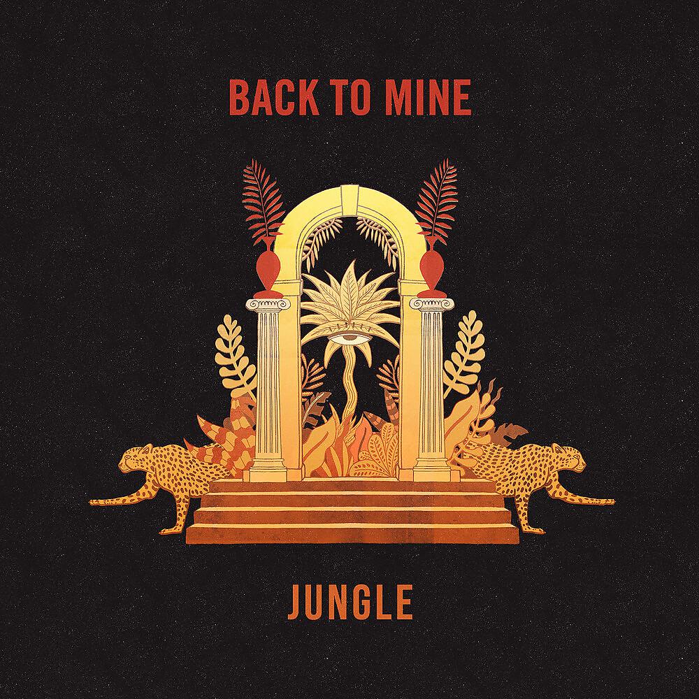 Постер альбома Back to Mine : Jungle