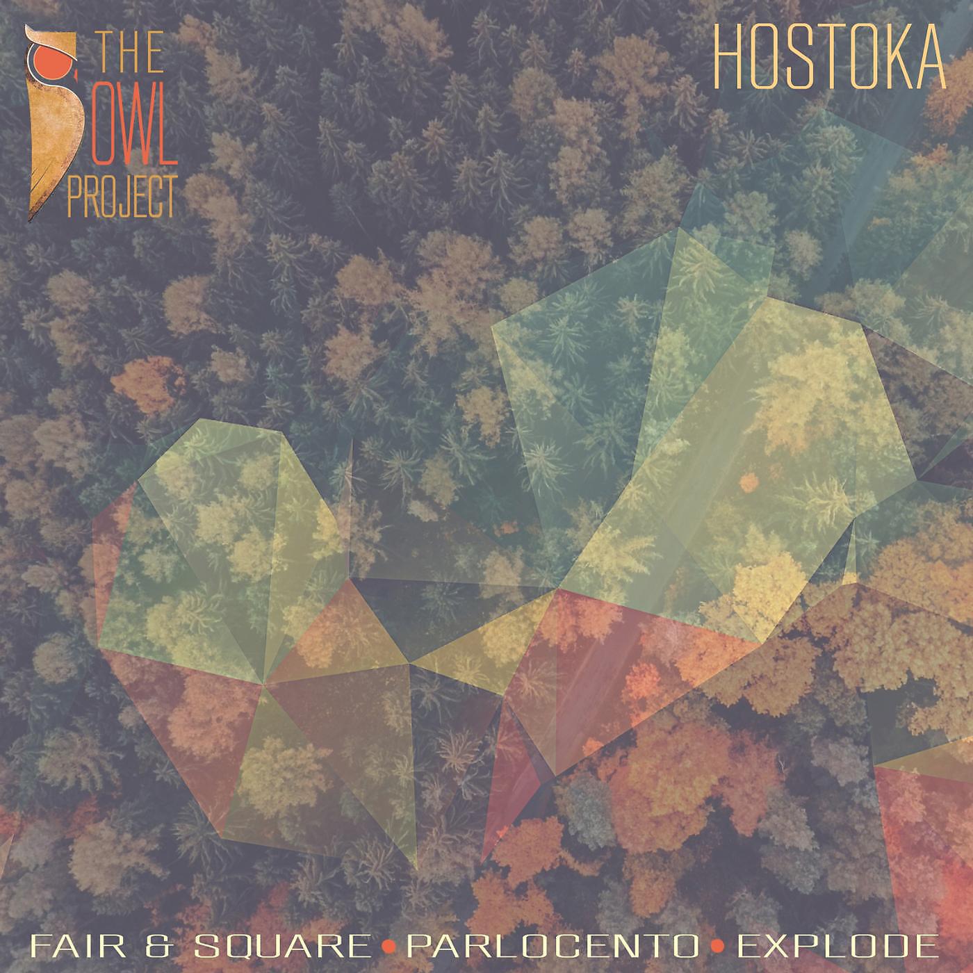 Постер альбома Hostoka