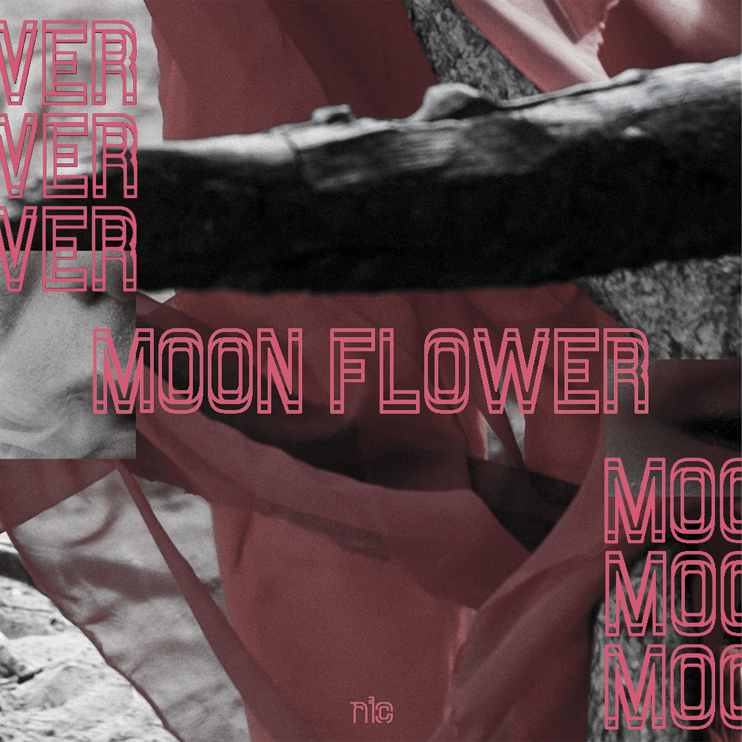 Постер альбома moonflower