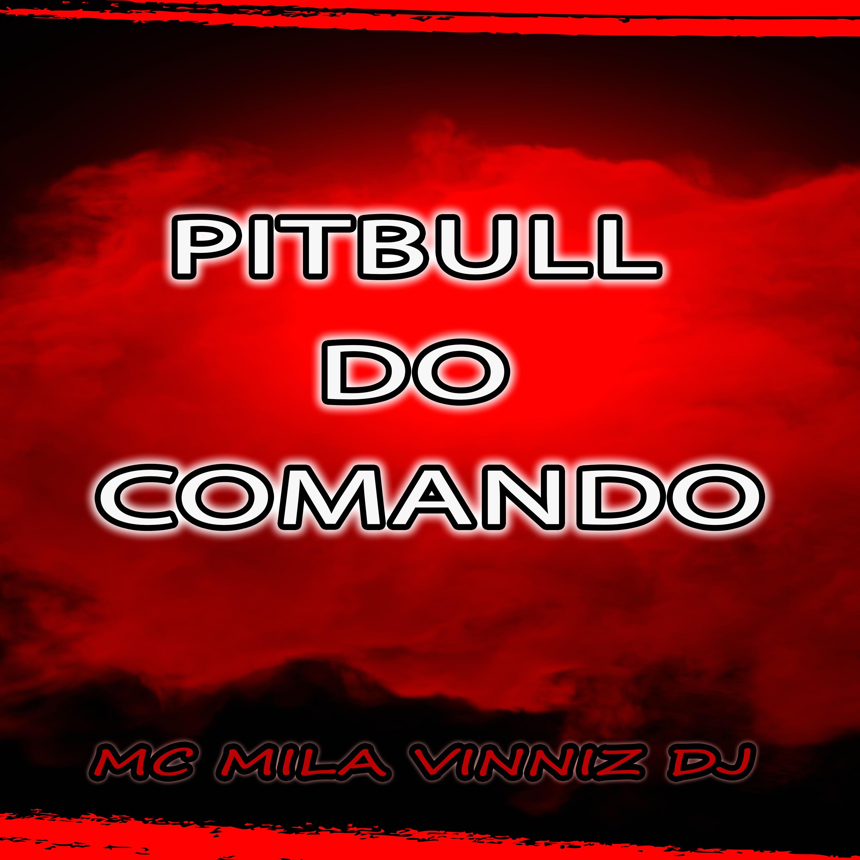 Постер альбома Pitbull do Comando