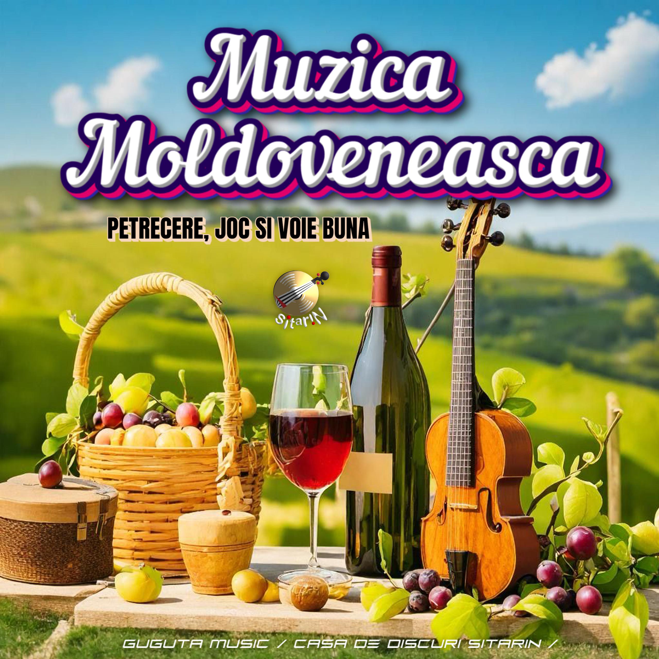 Постер альбома Muzică Moldovenească