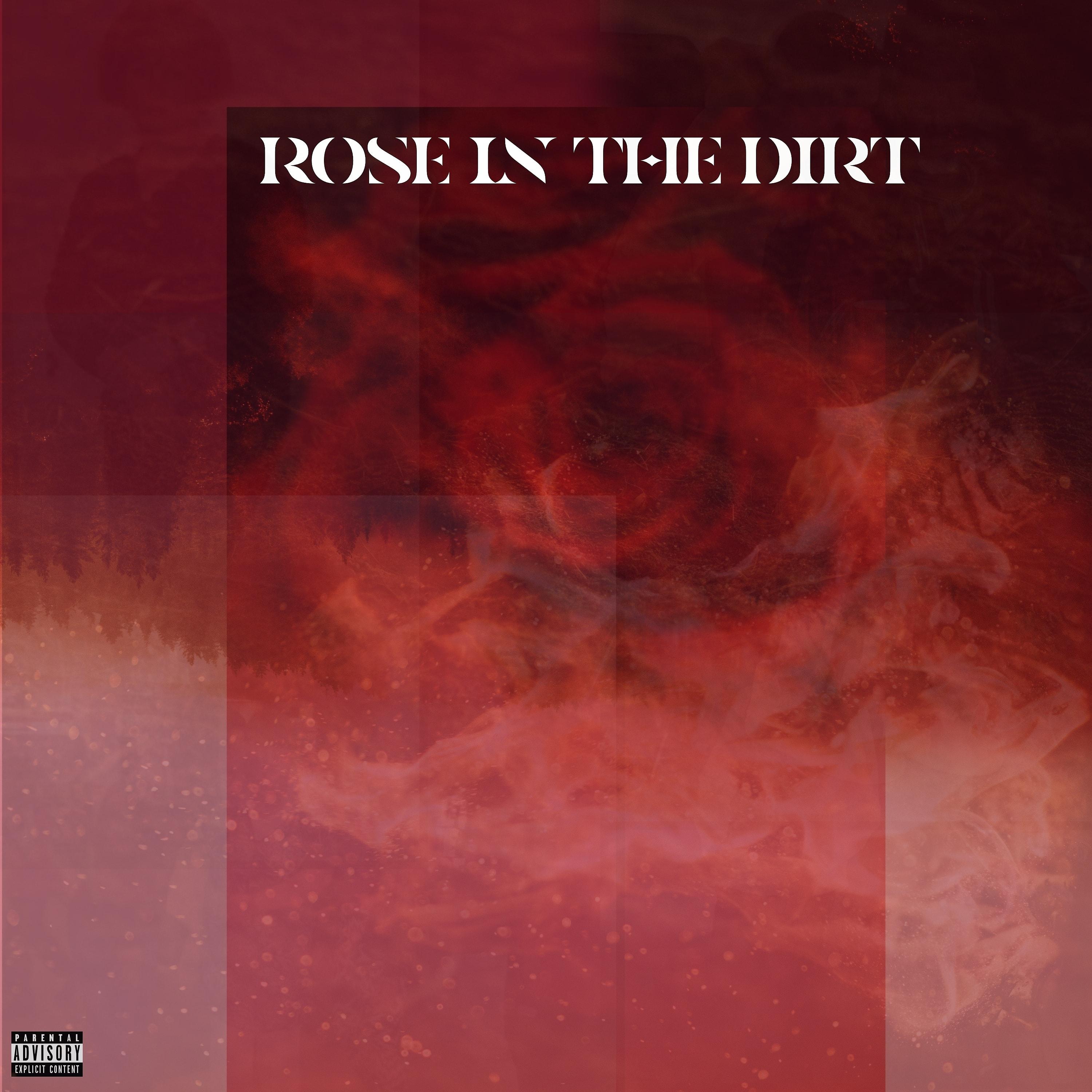 Постер альбома Rose In The Dirt