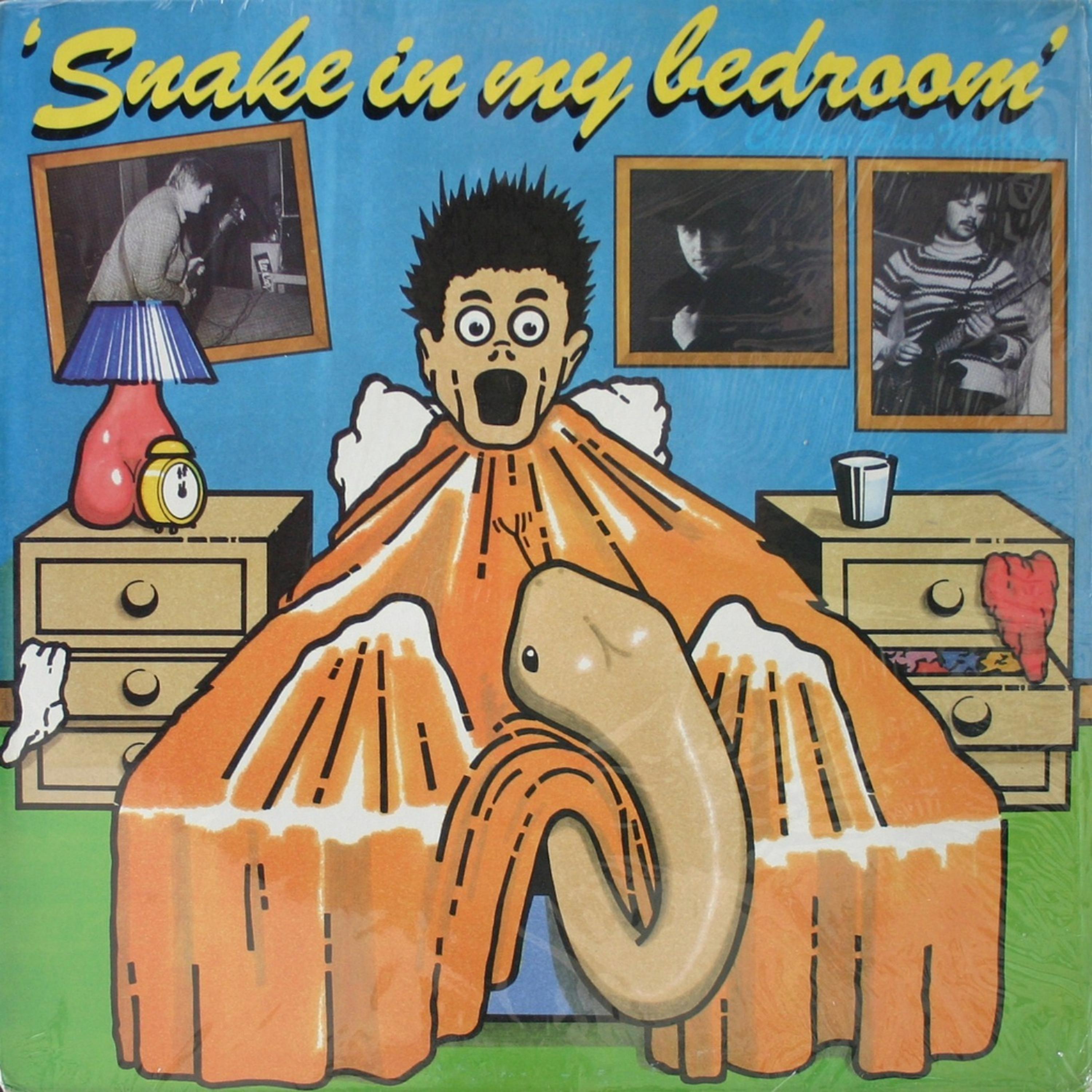 Постер альбома Snake in My Bedroom