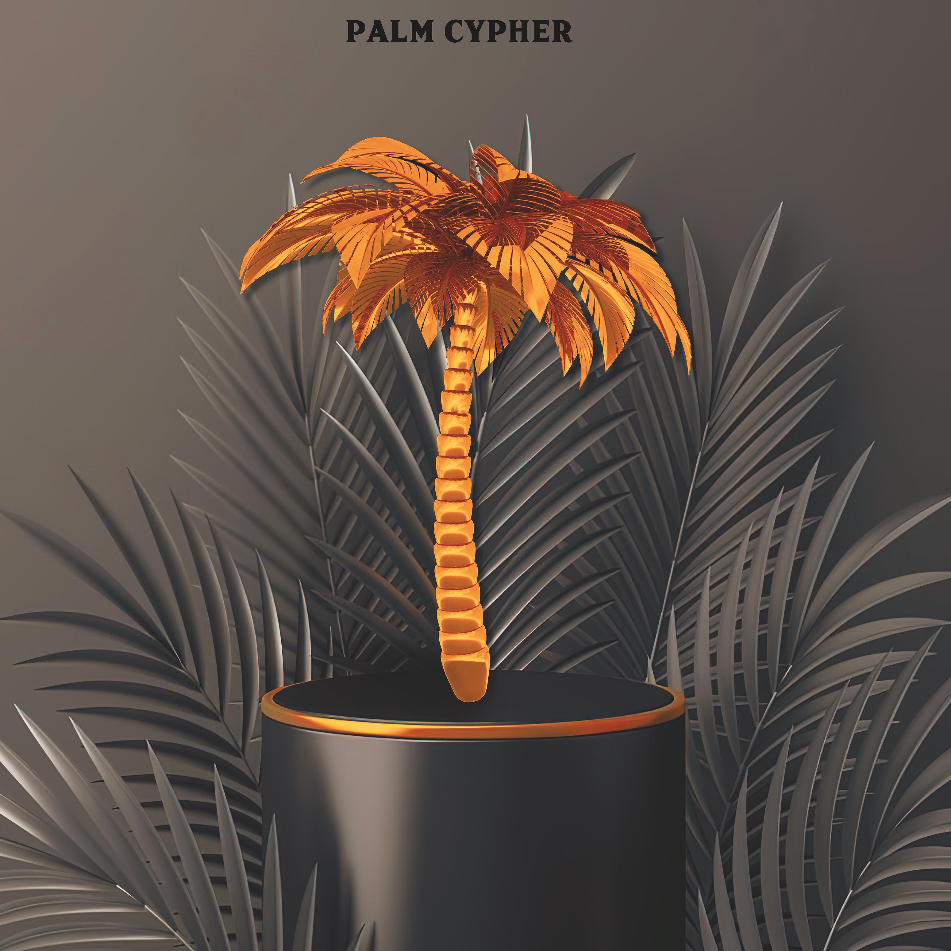 Постер альбома Palm Cypher