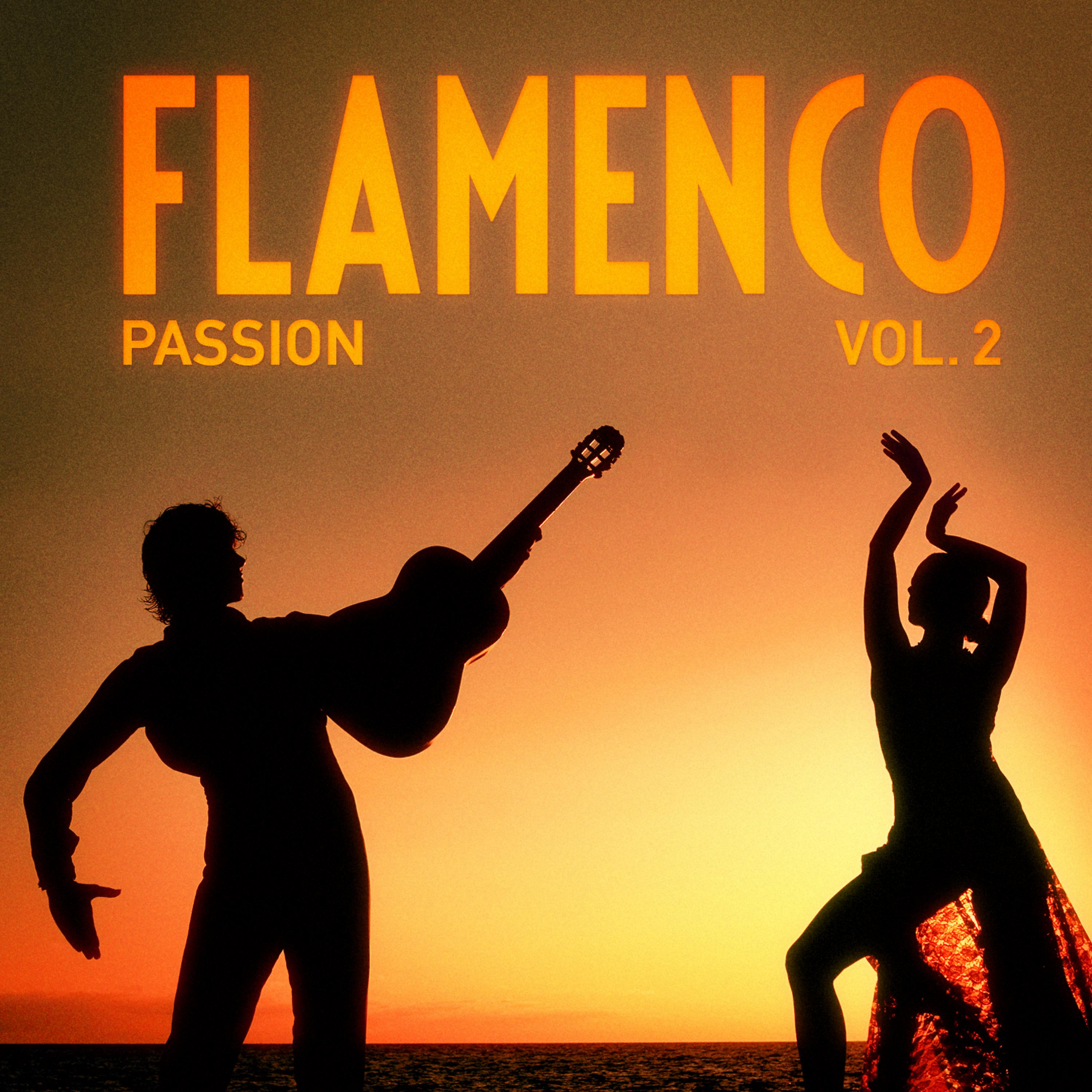 Постер альбома Flamenco Passion, Vol. 2 (The Art of Spanish Guitar)