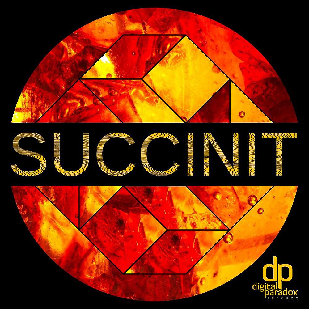 Постер альбома Succinit